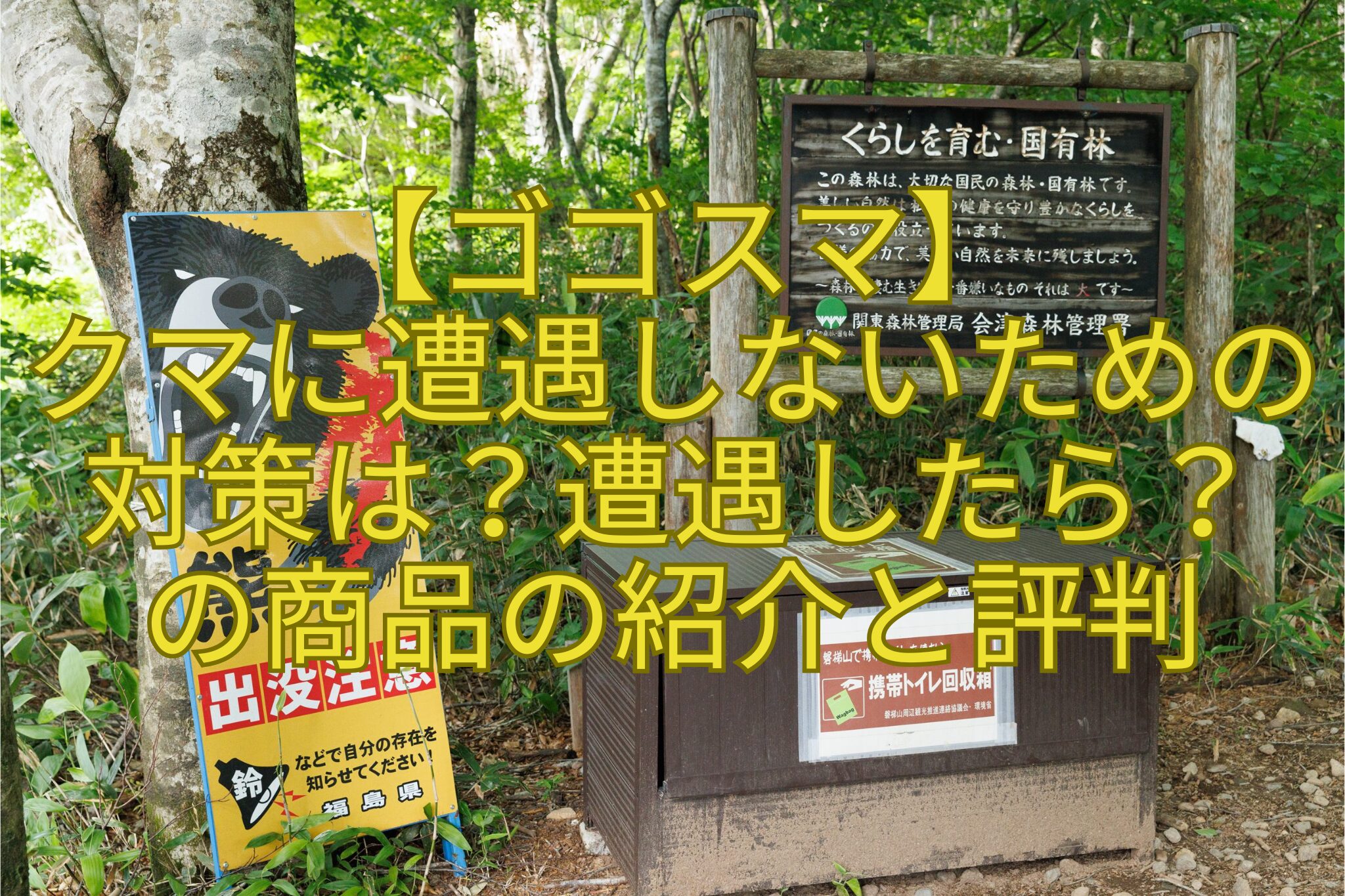 【ゴゴスマ】クマに遭遇しないための対策は？遭遇したら？の商品の紹介と評判 | おもしろがる！