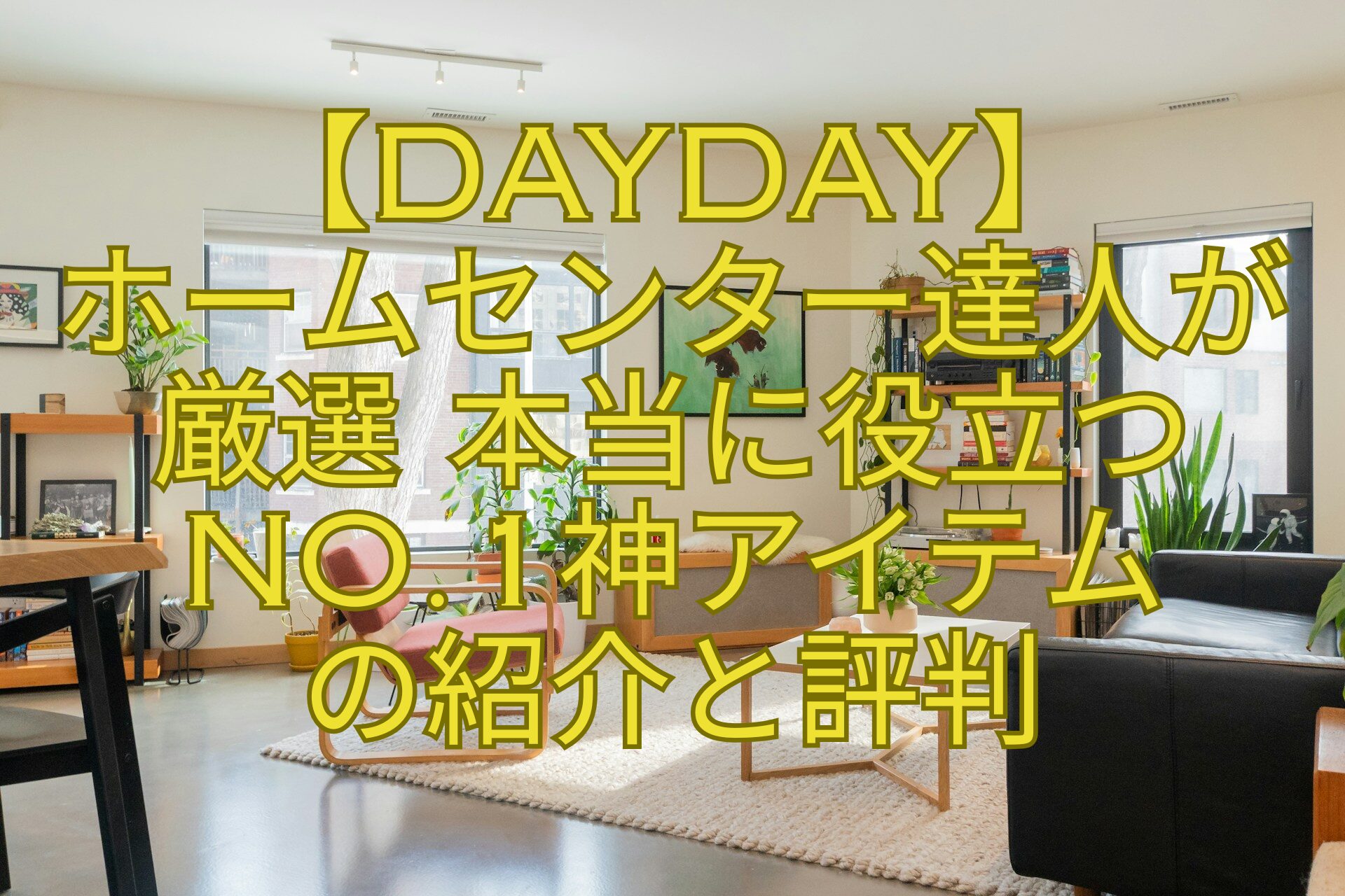 【DayDay】-ホームセンター達人が-厳選-本当に役立つNo.1神アイテム-の紹介と評判