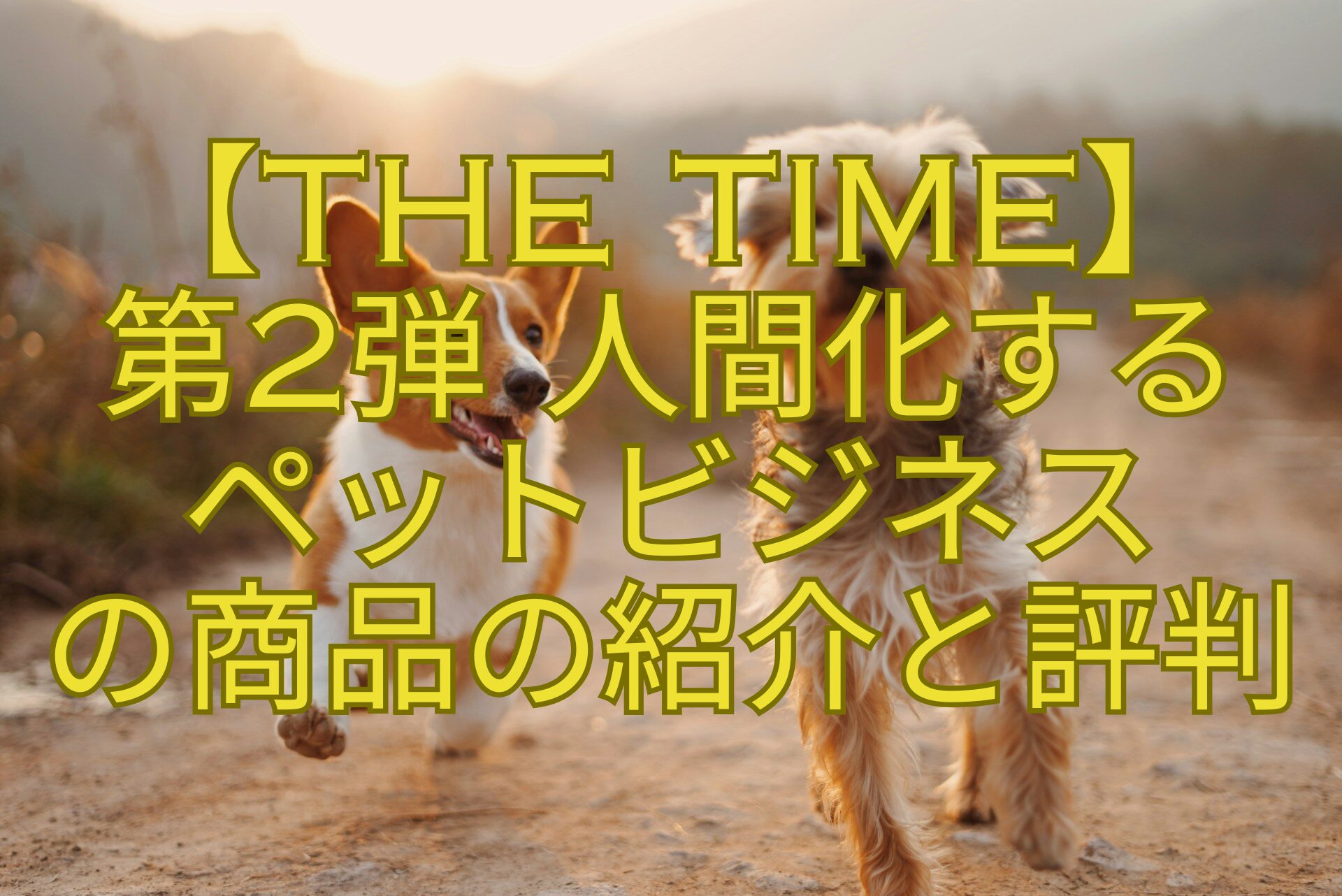 【THE-TIME】-第2弾-人間化する-ペットビジネス-の商品の紹介と評判