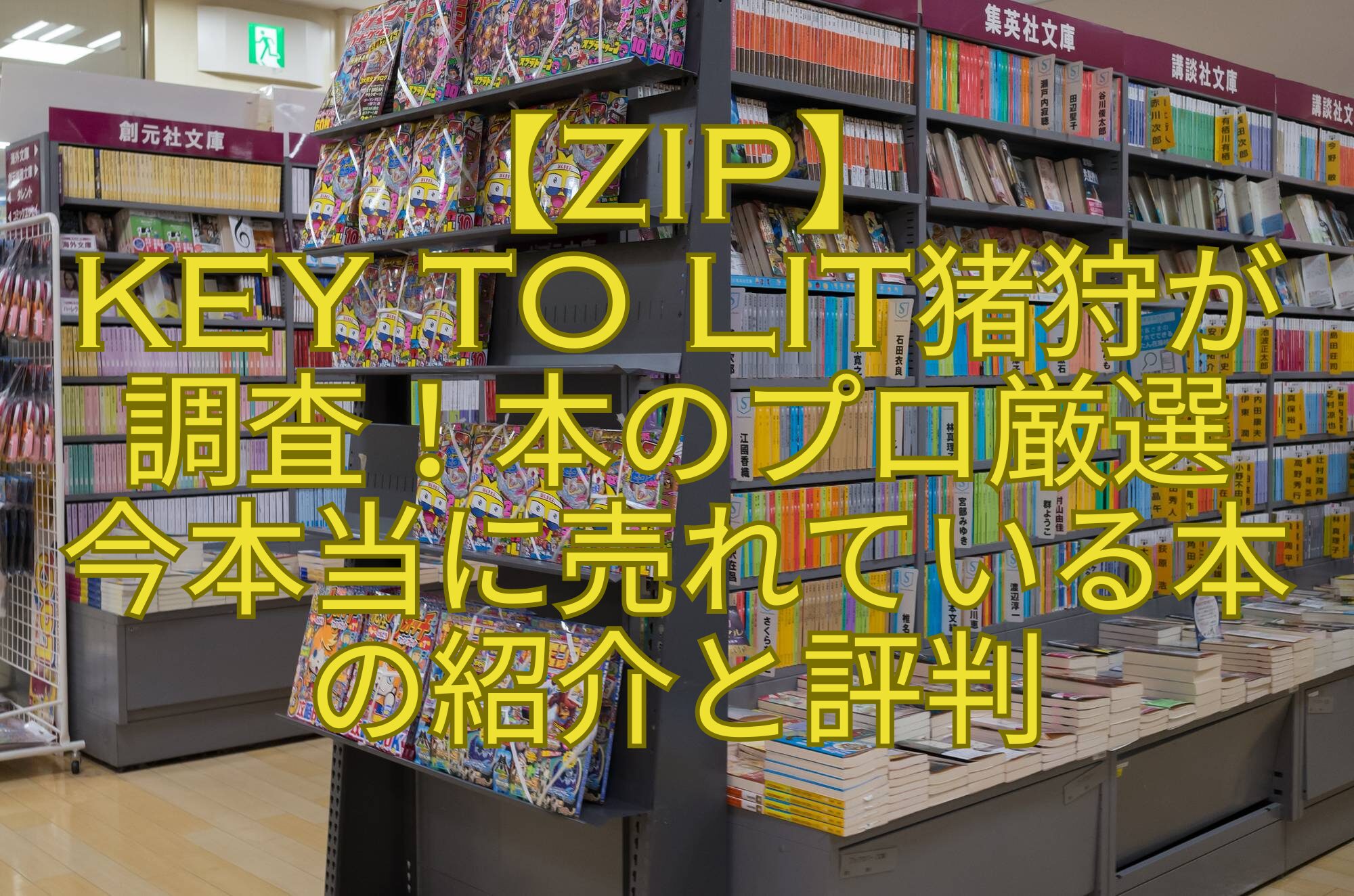 【ZIP】-KEY-TO-LIT猪狩が-調査！本のプロ厳選-今本当に売れている本-の紹介と評判
