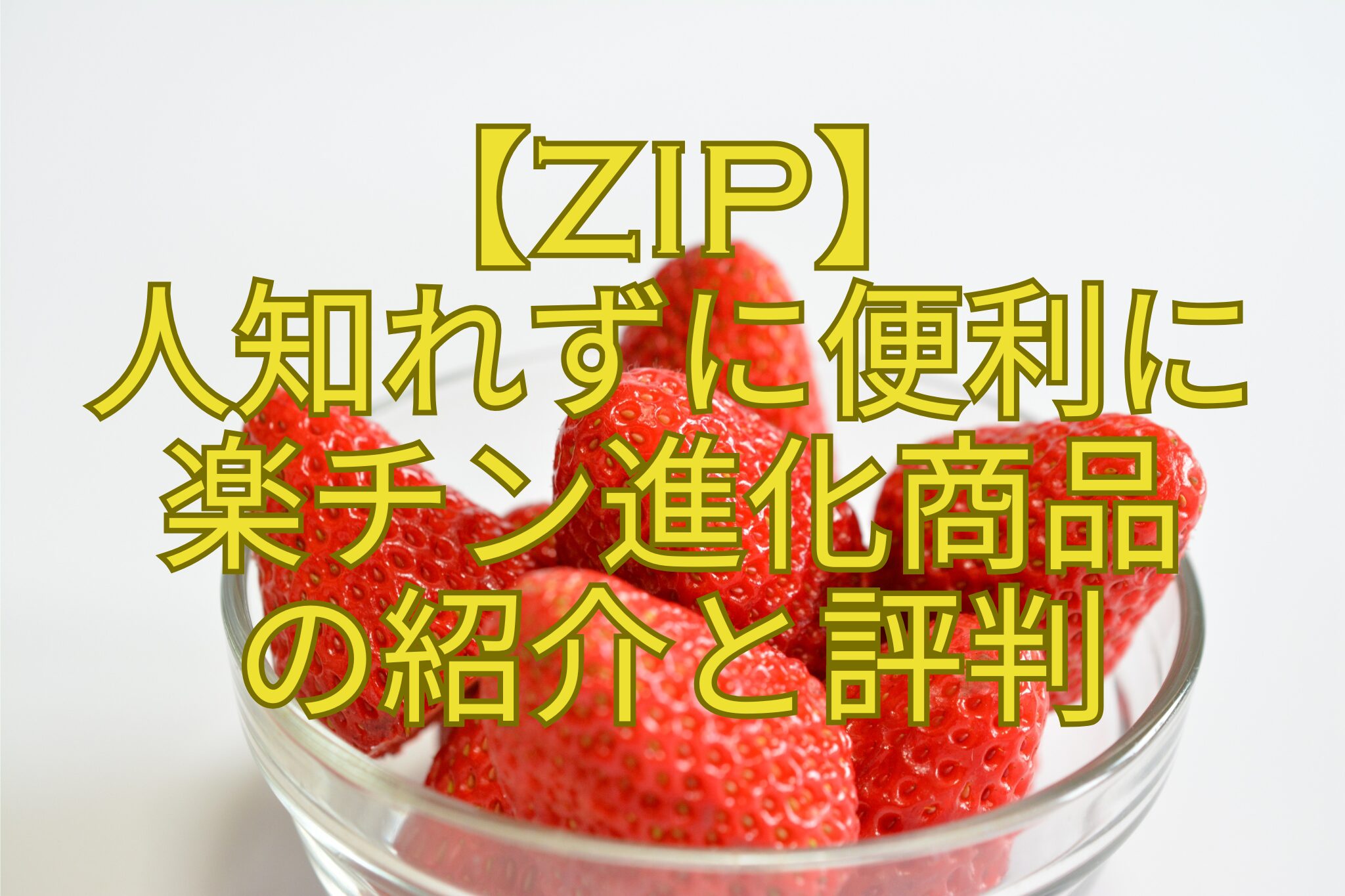 【ZIP】-人知れずに便利に-楽チン進化商品-の紹介と評判