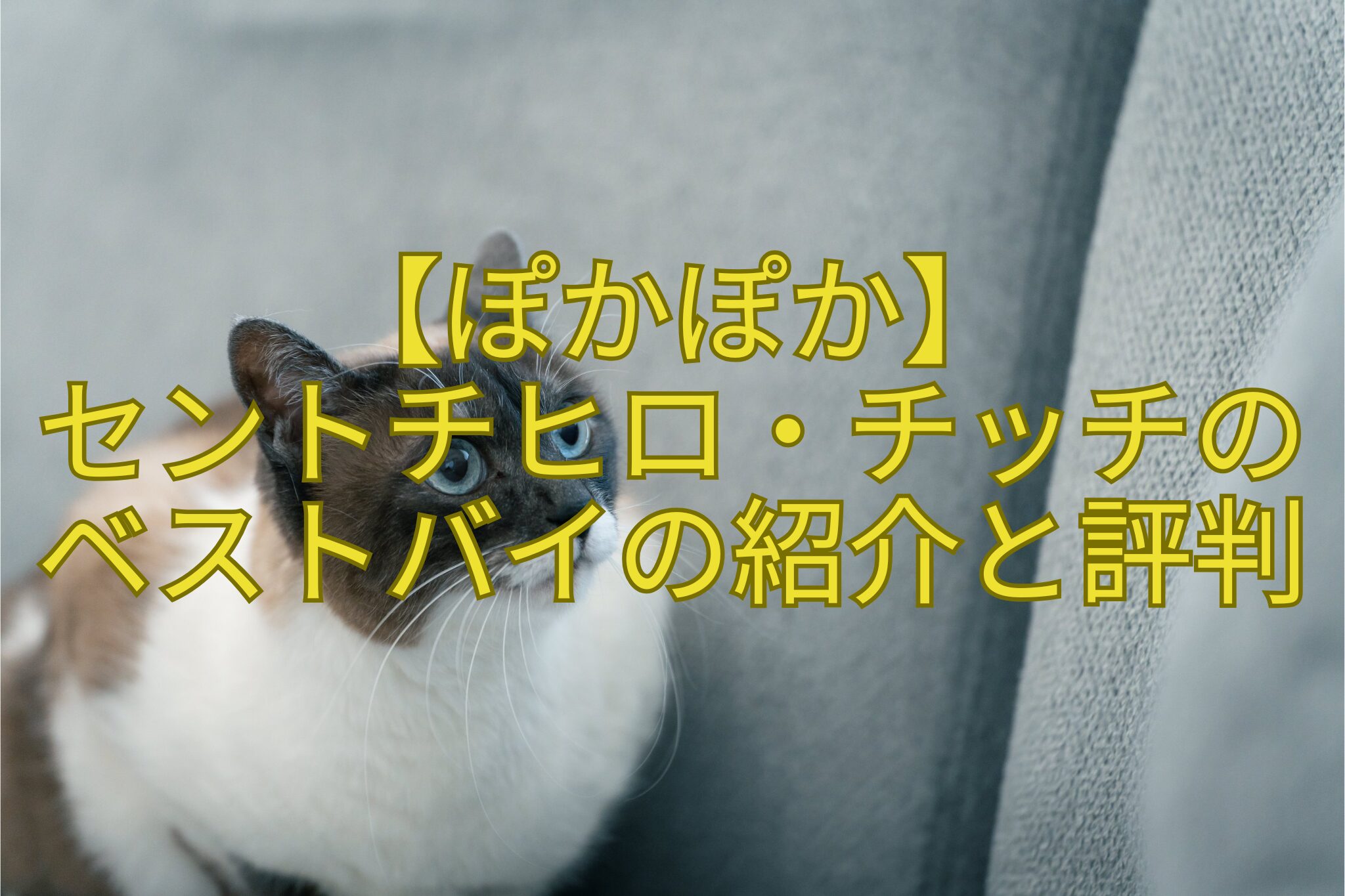【ぽかぽか】-セントチヒロ・チッチのベストバイの紹介と評判