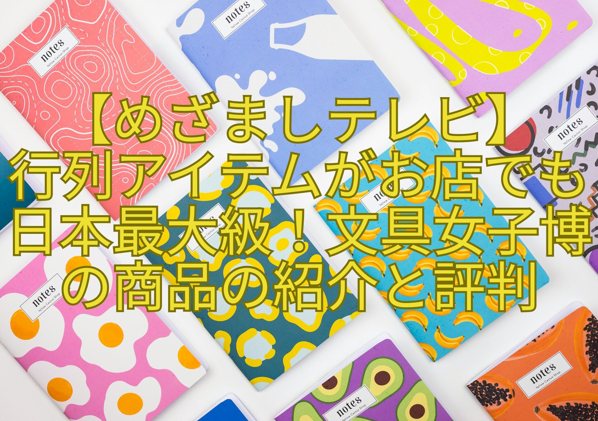 【めざましテレビ】-行列アイテムがお店でも日本最大級！文具女子博の商品の紹介と評判
