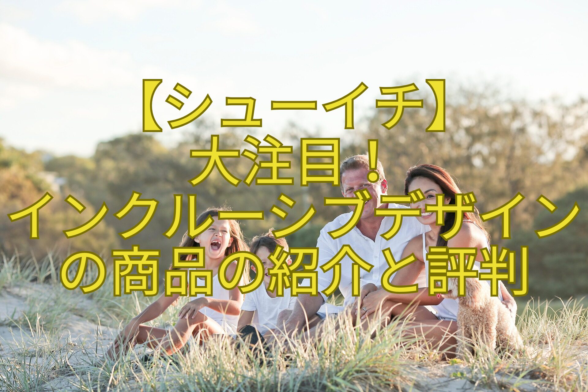 【シューイチ】-大注目！-インクルーシブデザインの商品の紹介と評判