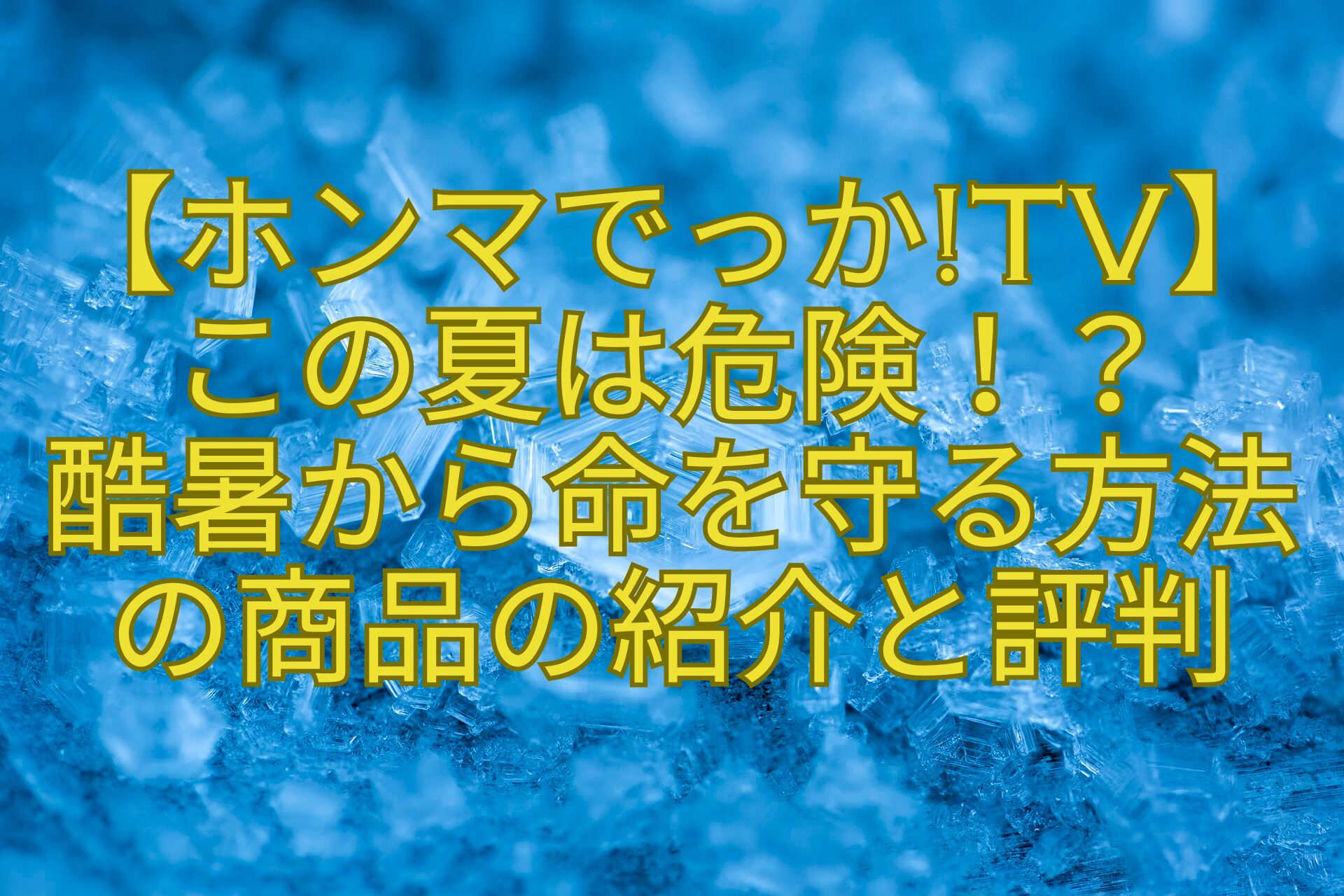 【ホンマでっかTV】-この夏は危険！？-酷暑から命を守る方法-の商品の紹介と評判