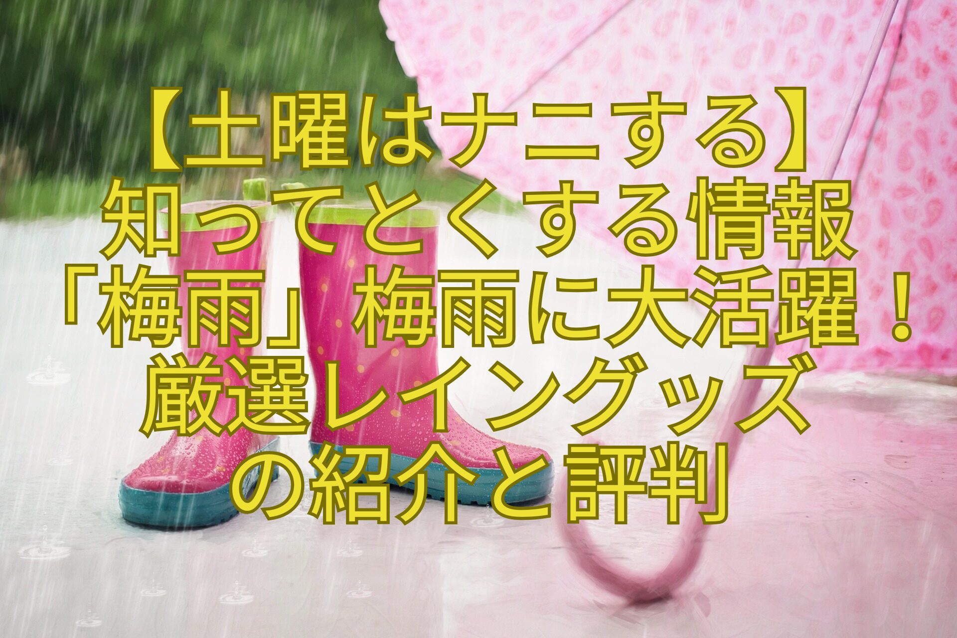 【土曜はナニする】-知ってとくする情報-「梅雨」梅雨に大活躍！厳選レイングッズ-の紹介と評判