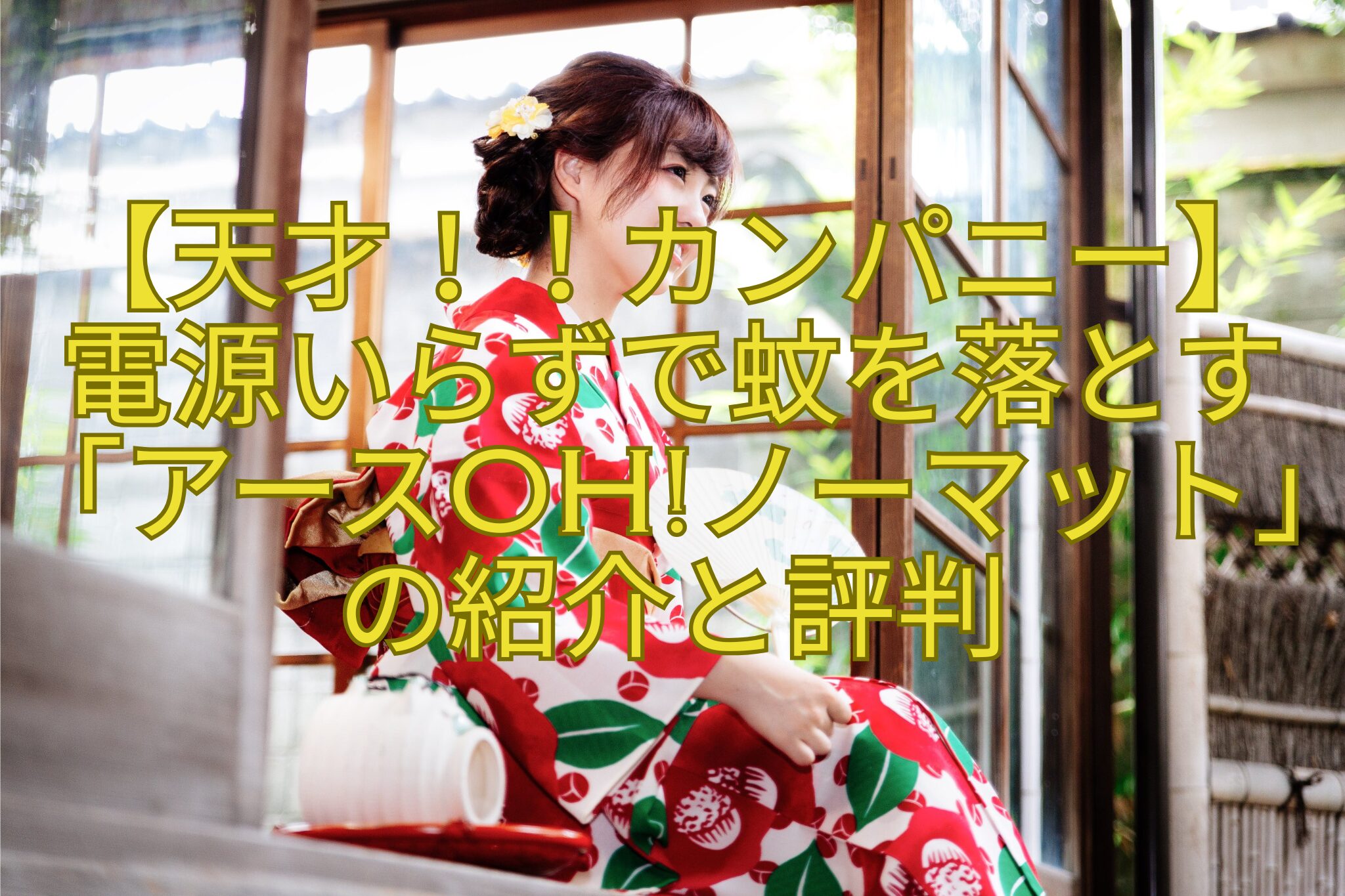 【天才！！カンパニー】電源いらずで蚊を落とす「アースOHノーマット」の紹介と評判