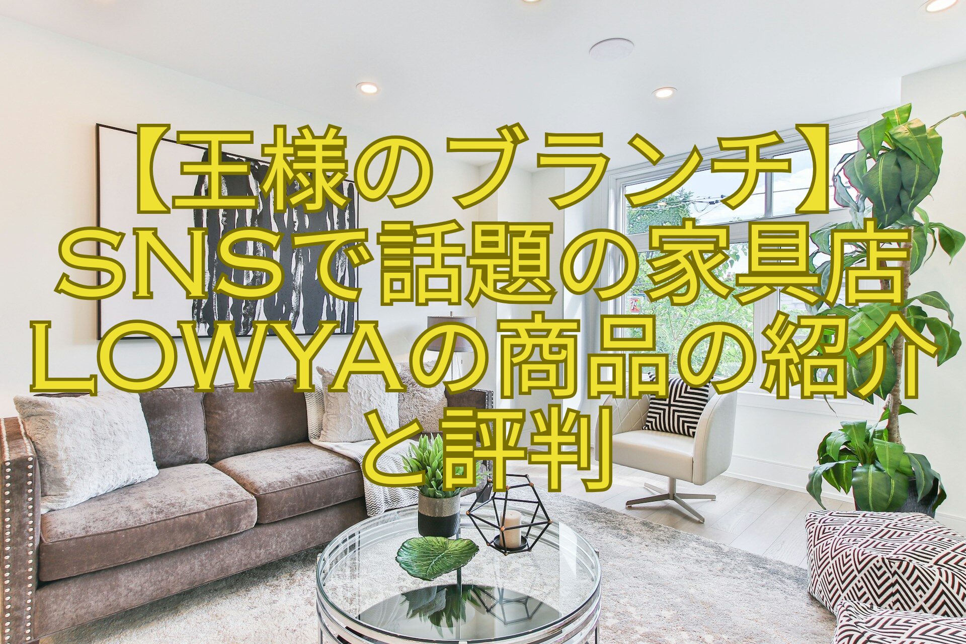【王様のブランチ】SNSで話題の家具店LOWYAの商品の紹介と評判