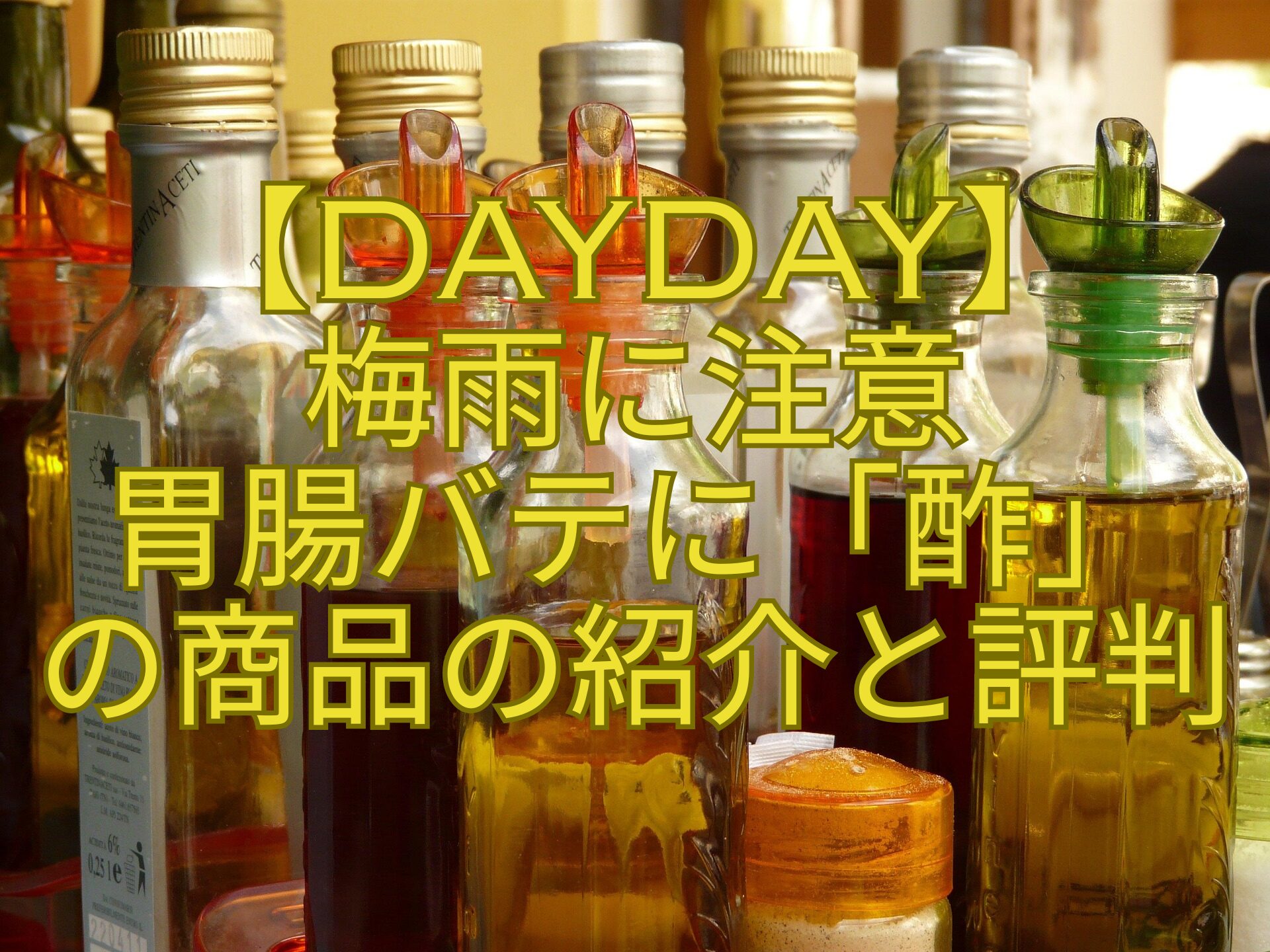 【DayDay】-梅雨に注意-胃腸バテに「酢」-の商品の紹介と評判