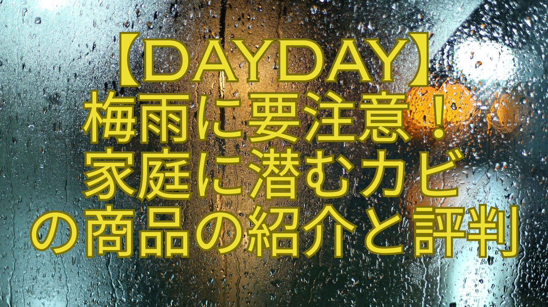 【DayDay】-梅雨に要注意！-家庭に潜むカビ-の商品の紹介と評判