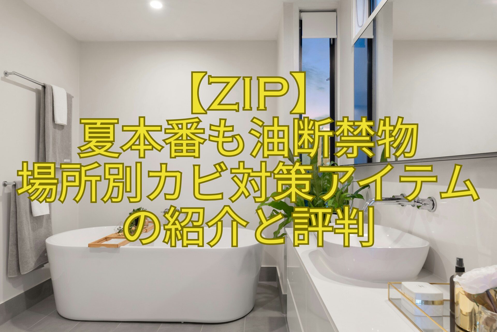 【ZIP】-夏本番も油断禁物-場所別カビ対策アイテムの紹介と評判