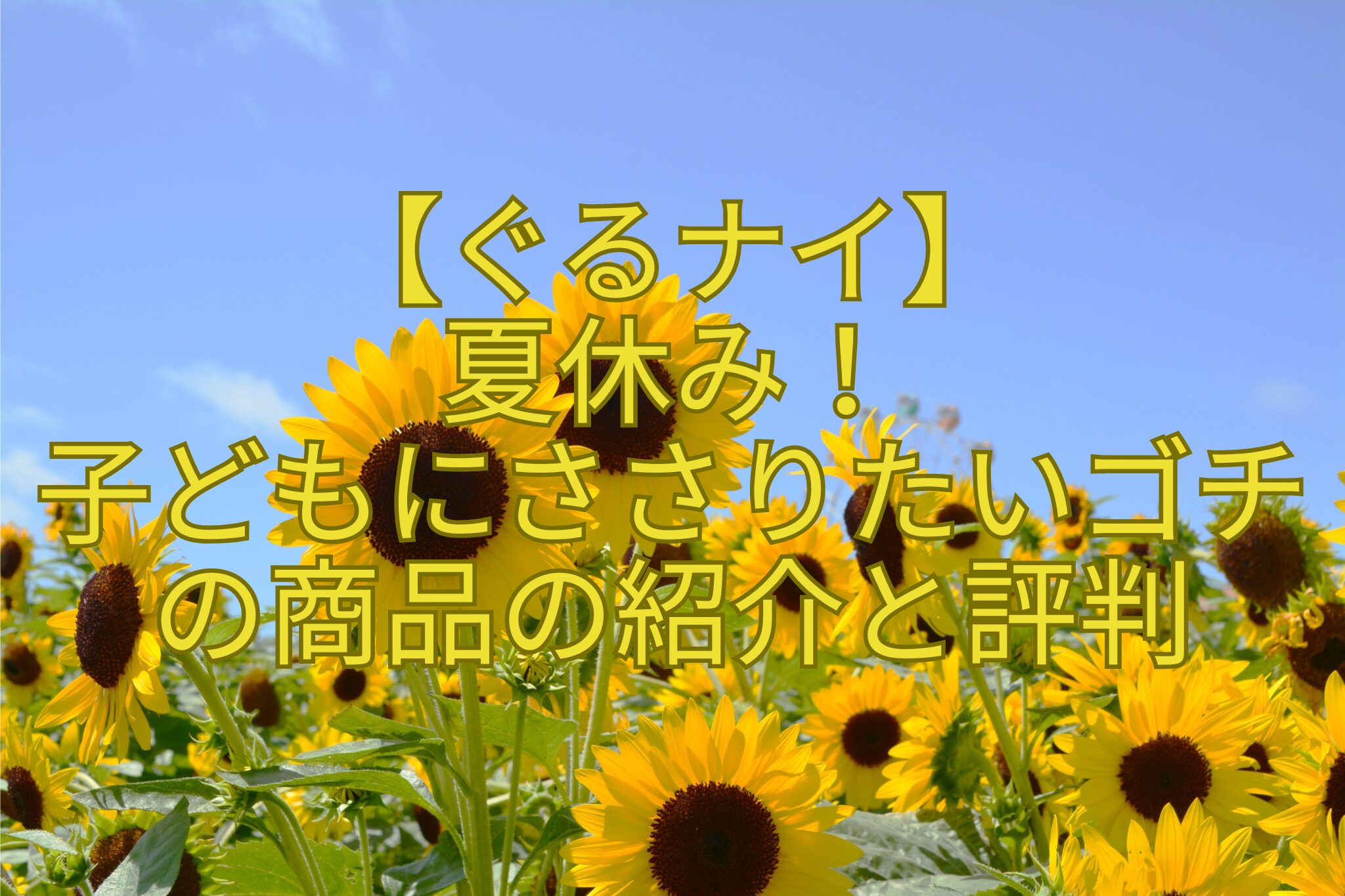 【ぐるナイ】-夏休み！-子どもにささりたいゴチの商品の紹介と評判