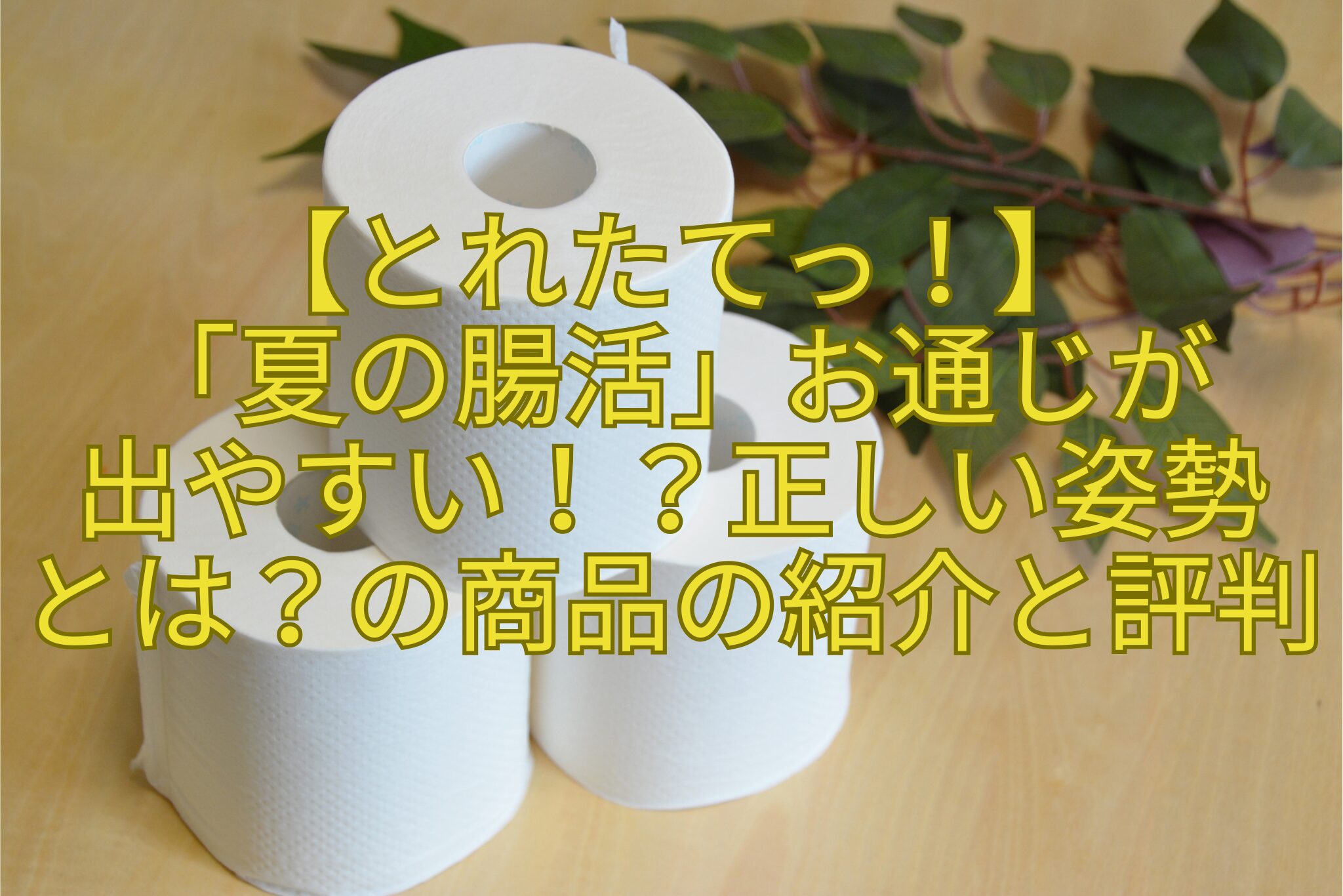 【とれたてっ！】-「夏の腸活」お通じが-出やすい！？正しい姿勢-とは？の商品の紹介と評判