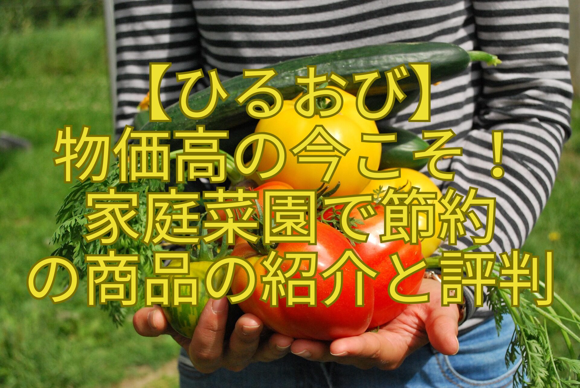 【ひるおび】-物価高の今こそ！-家庭菜園で節約-の商品の紹介と評判