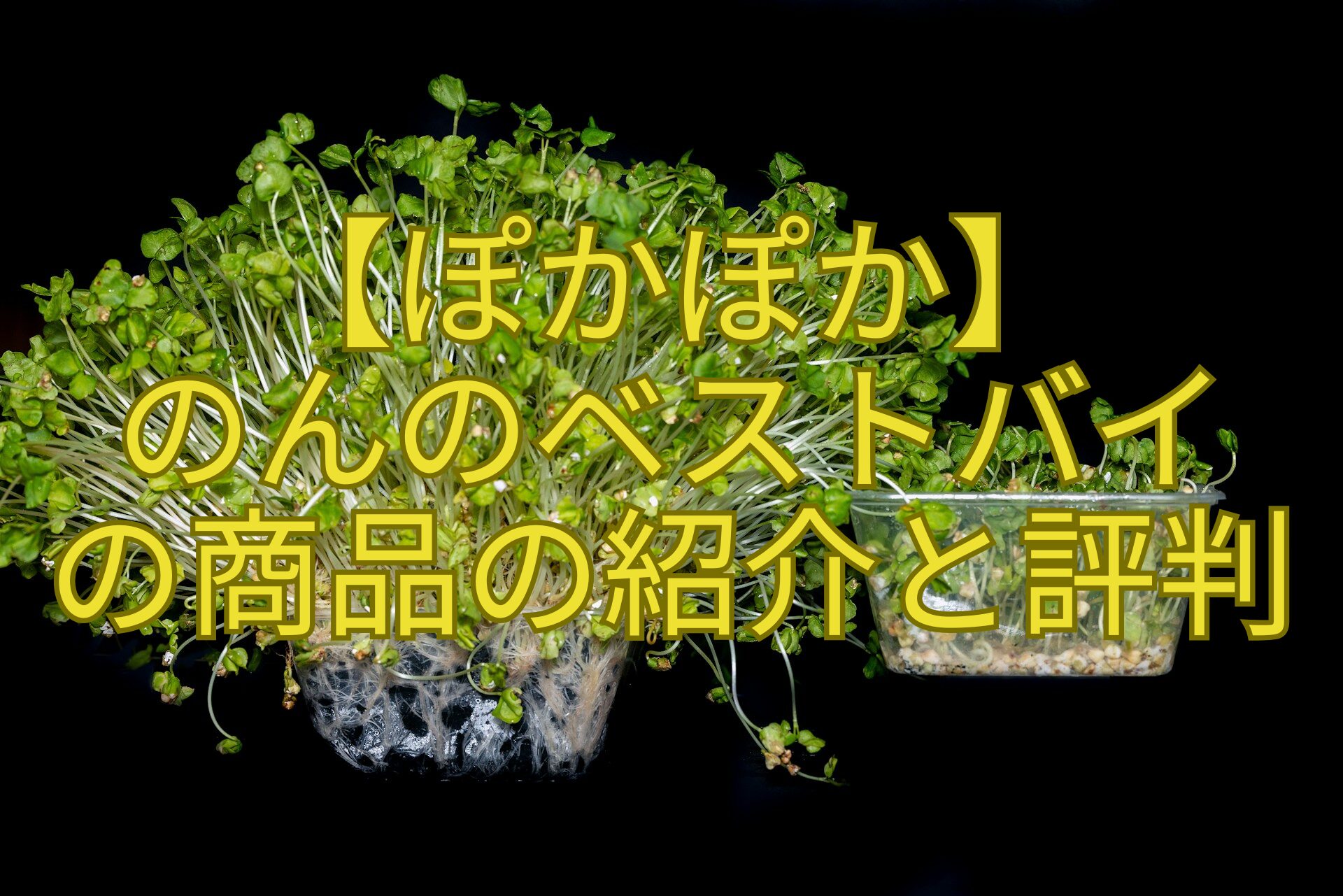 【ぽかぽか】-のんのベストバイ-の商品の紹介と評判
