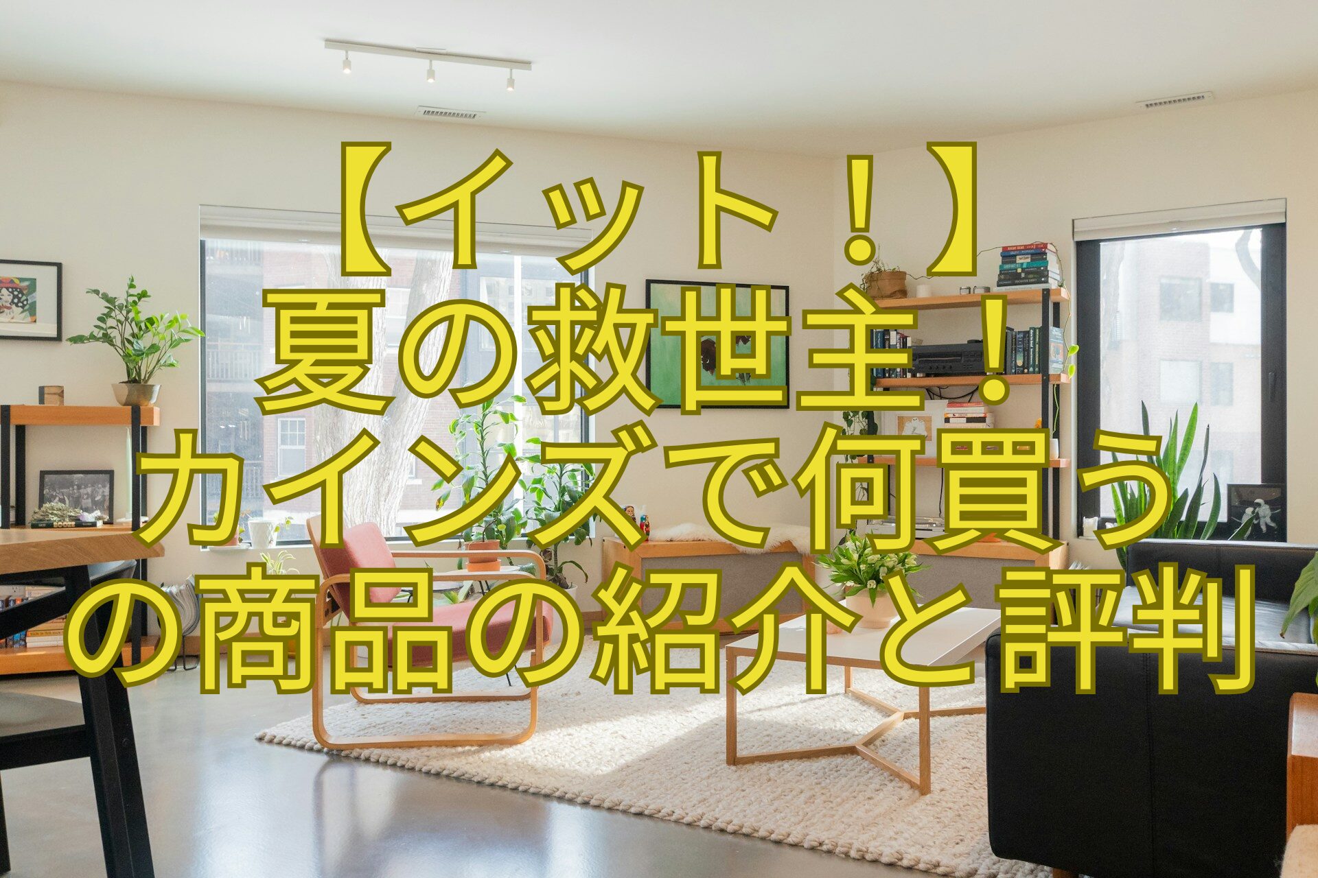 【イット！】-夏の救世主！-カインズで何買う-の商品の紹介と評判