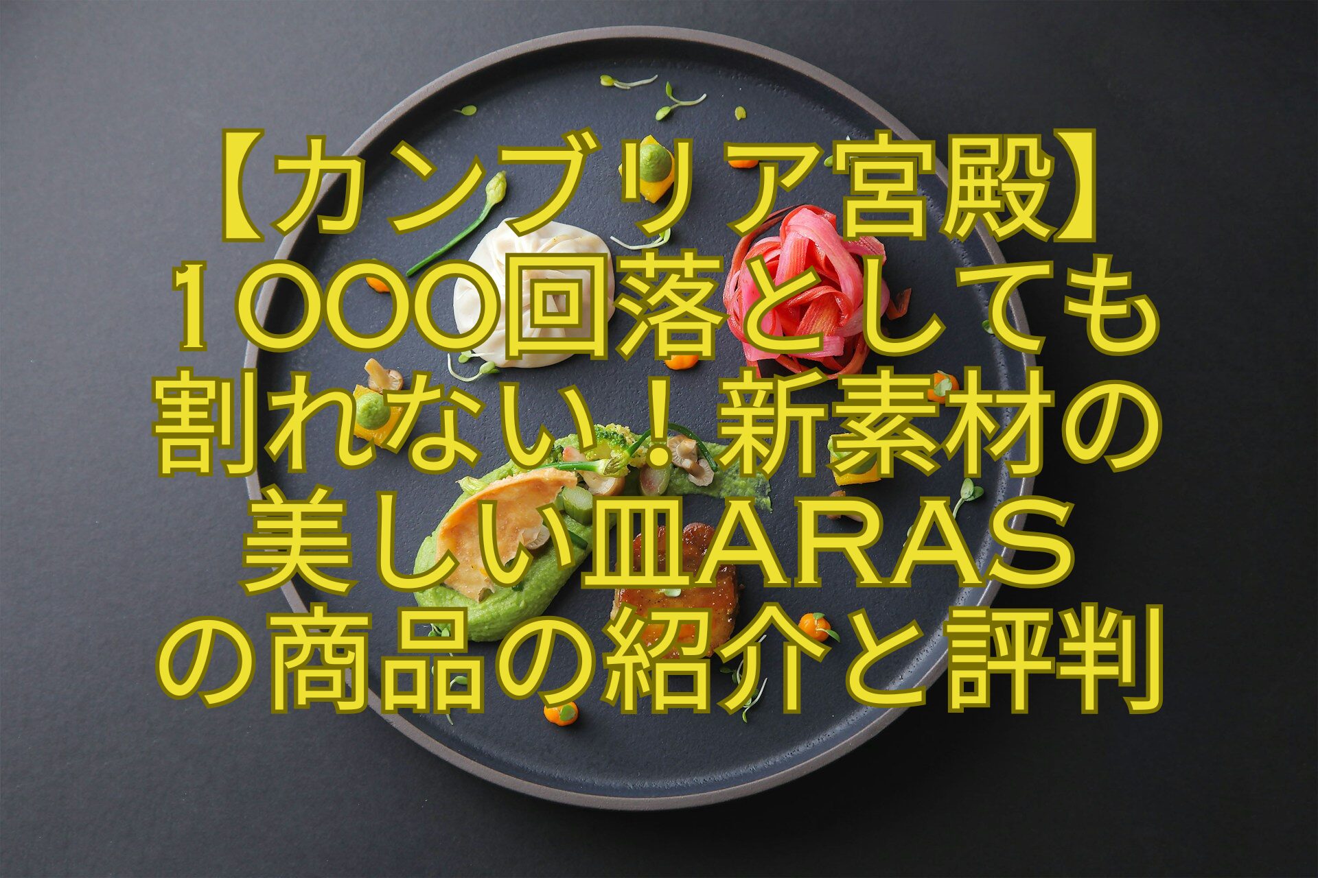 【カンブリア宮殿】1000回落としても-割れない！新素材の-美しい皿ARAS-の商品の紹介と評判