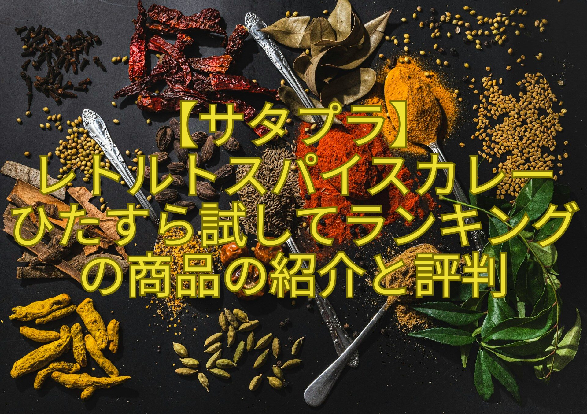 【サタプラ】-レトルトスパイスカレー-ひたすら試してランキングの商品の紹介と評判