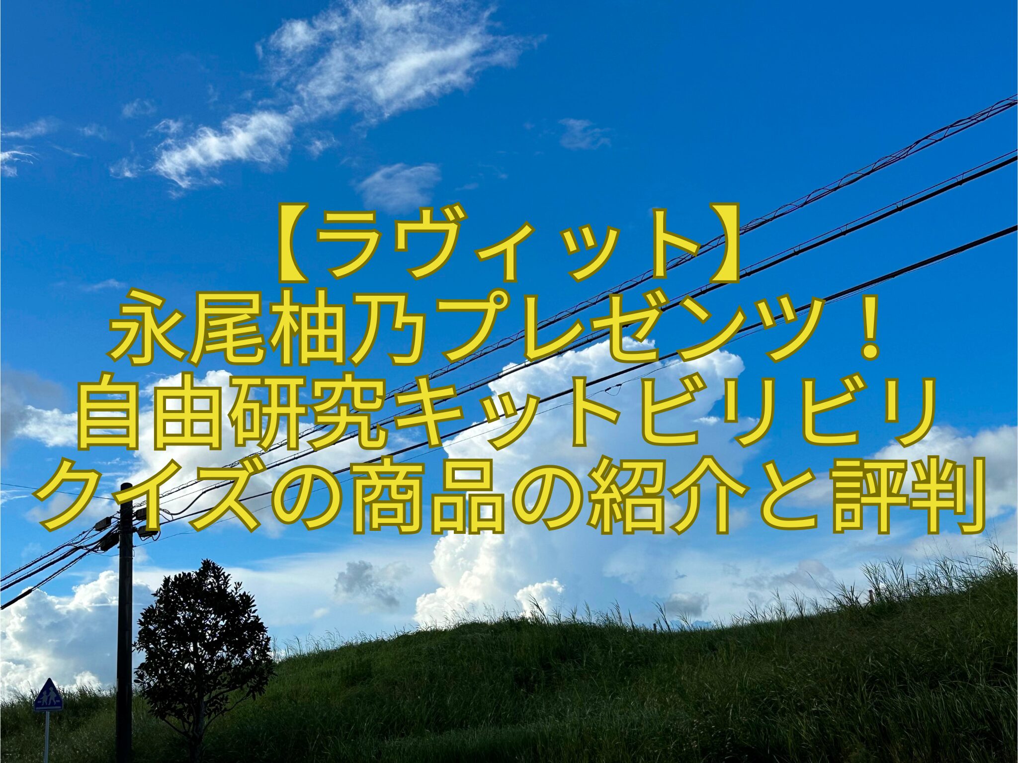 【ラヴィット】-永尾柚乃プレゼンツ！-自由研究キットビリビリ-クイズの商品の紹介と評判