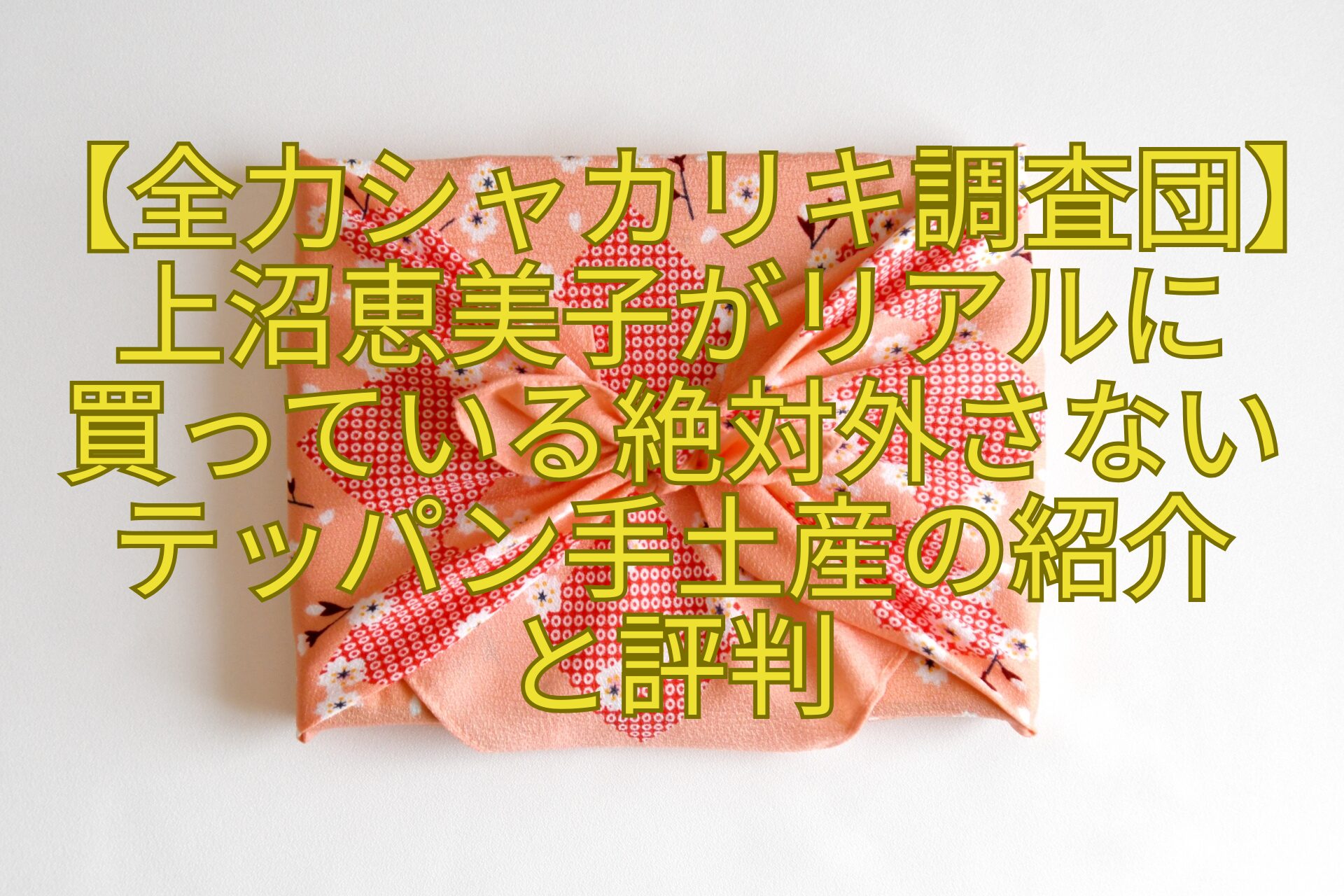 【全力シャカリキ調査団】上沼恵美子がリアルに-買っている絶対外さないテッパン手土産の紹介-と評判