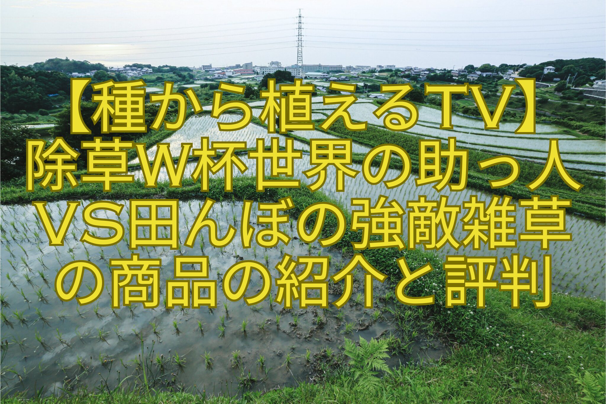 【種から植えるTV】-除草W杯世界の助っ人-vs田んぼの強敵雑草-の商品の紹介と評判