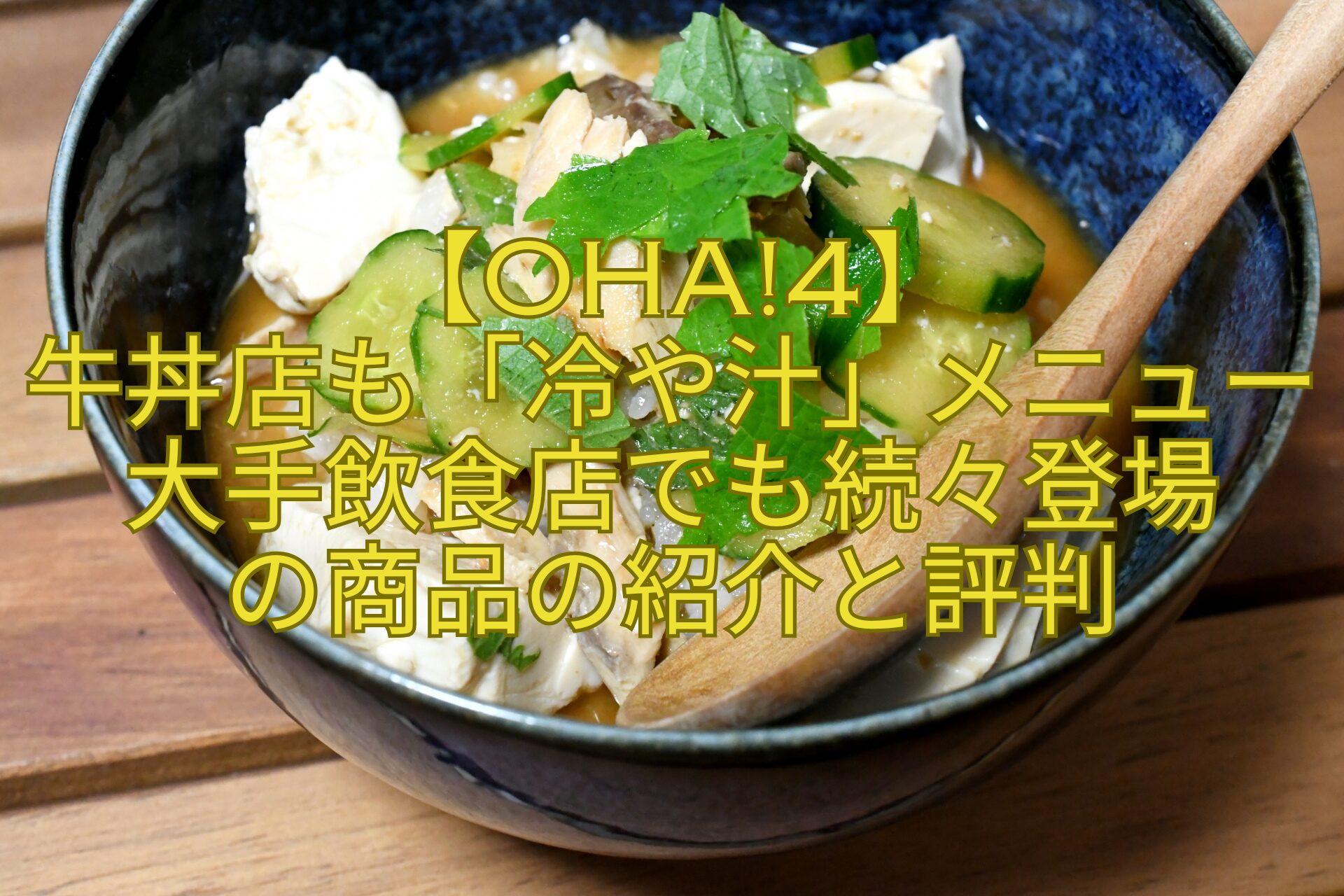 【Oha4】-牛丼店も「冷や汁」メニュー大手飲食店でも続々登場-の商品の紹介と評判