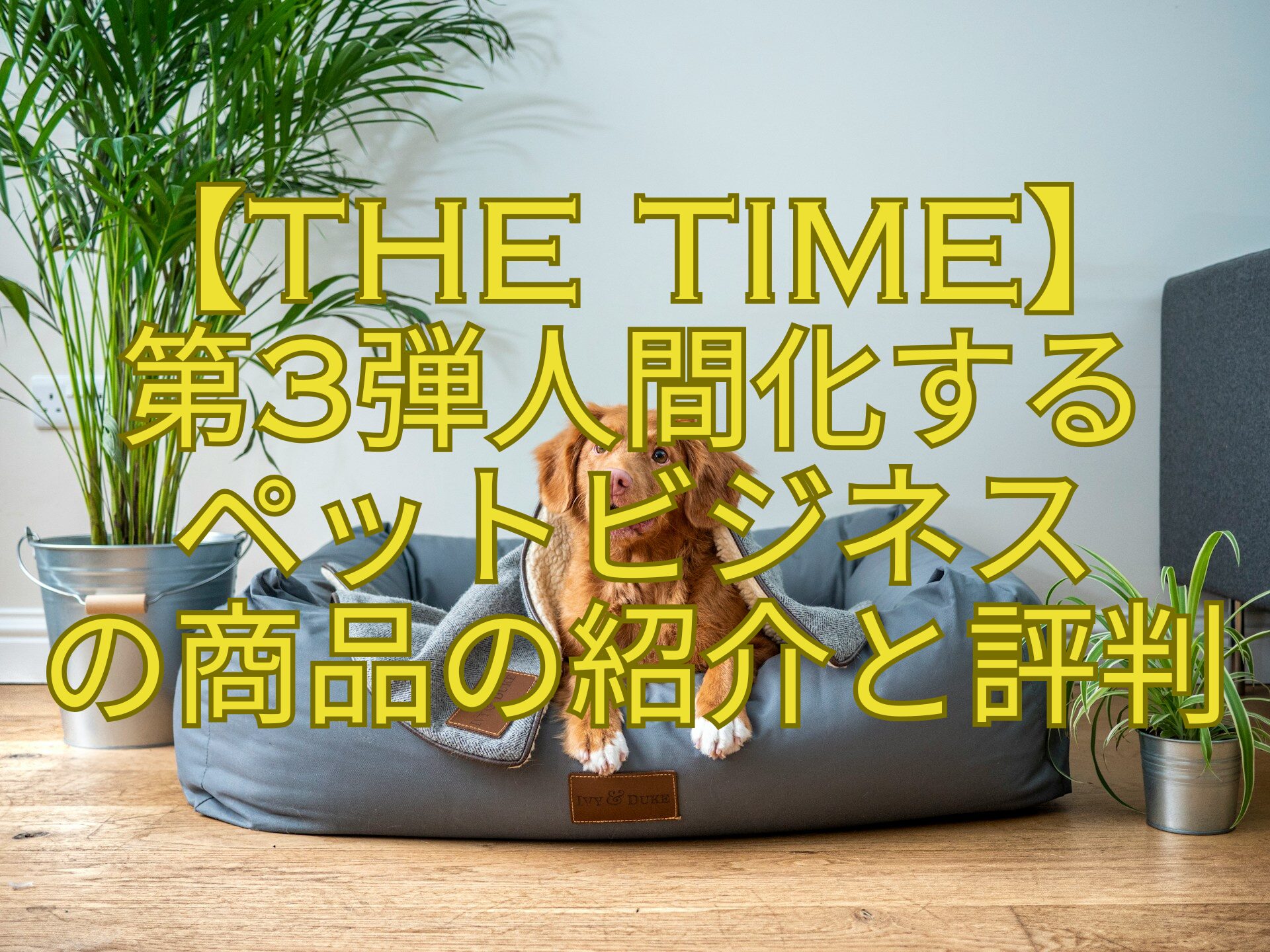 【THE-TIME】-第3弾人間化する-ペットビジネス-の商品の紹介と評判