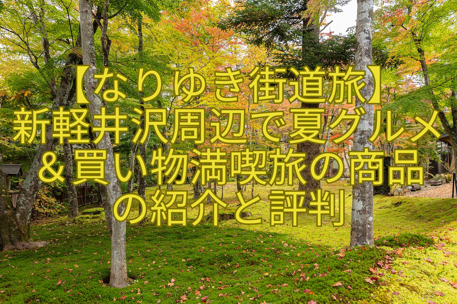 【なりゆき街道旅】-新軽井沢周辺で夏グルメ＆買い物満喫旅の商品-の紹介と評判