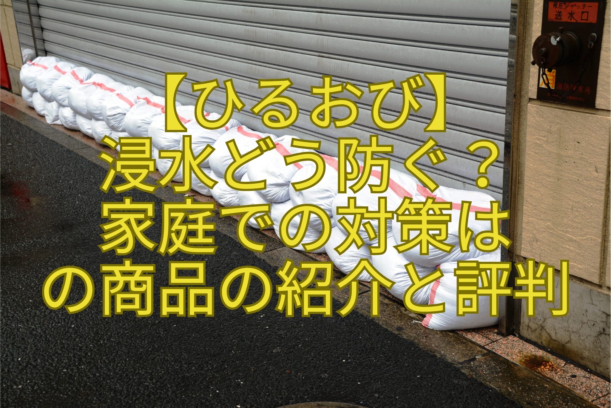 【ひるおび】-浸水どう防ぐ？-家庭での対策は-の商品の紹介と評判
