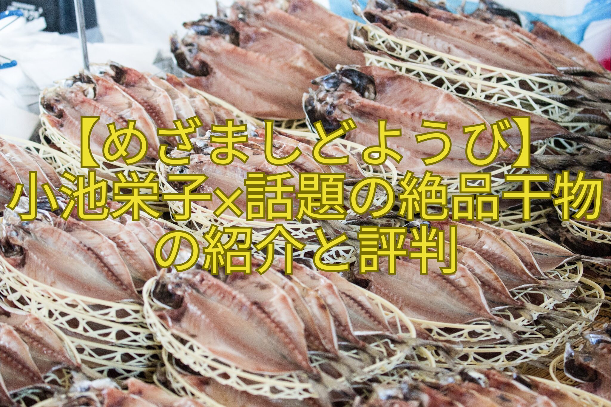 【めざましどようび】-小池栄子×話題の絶品干物の紹介と評判