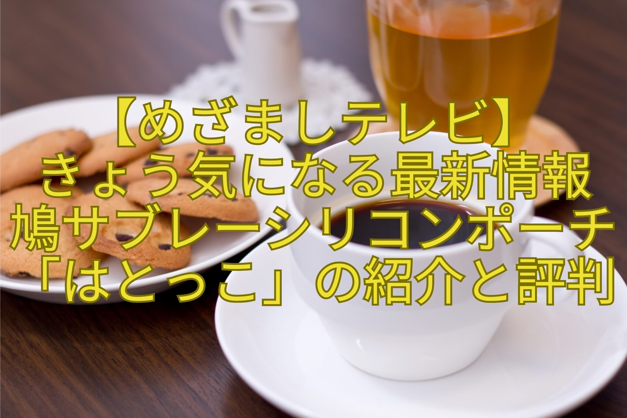 【めざましテレビ】きょう気になる最新情報-鳩サブレーシリコンポーチ「はとっこ」の紹介と評判