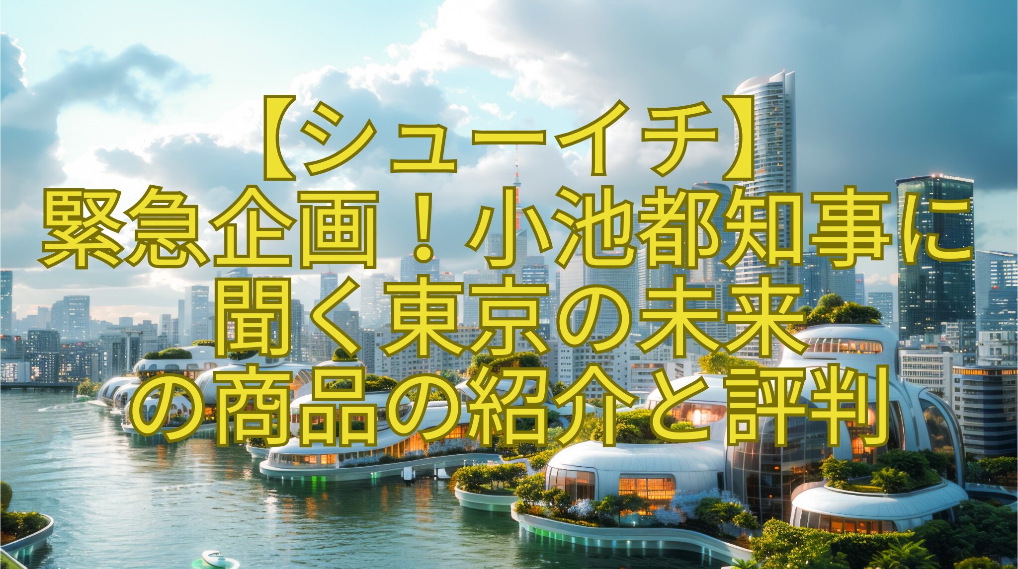 【シューイチ】-緊急企画！小池都知事に聞く東京の未来-の商品の紹介と評判