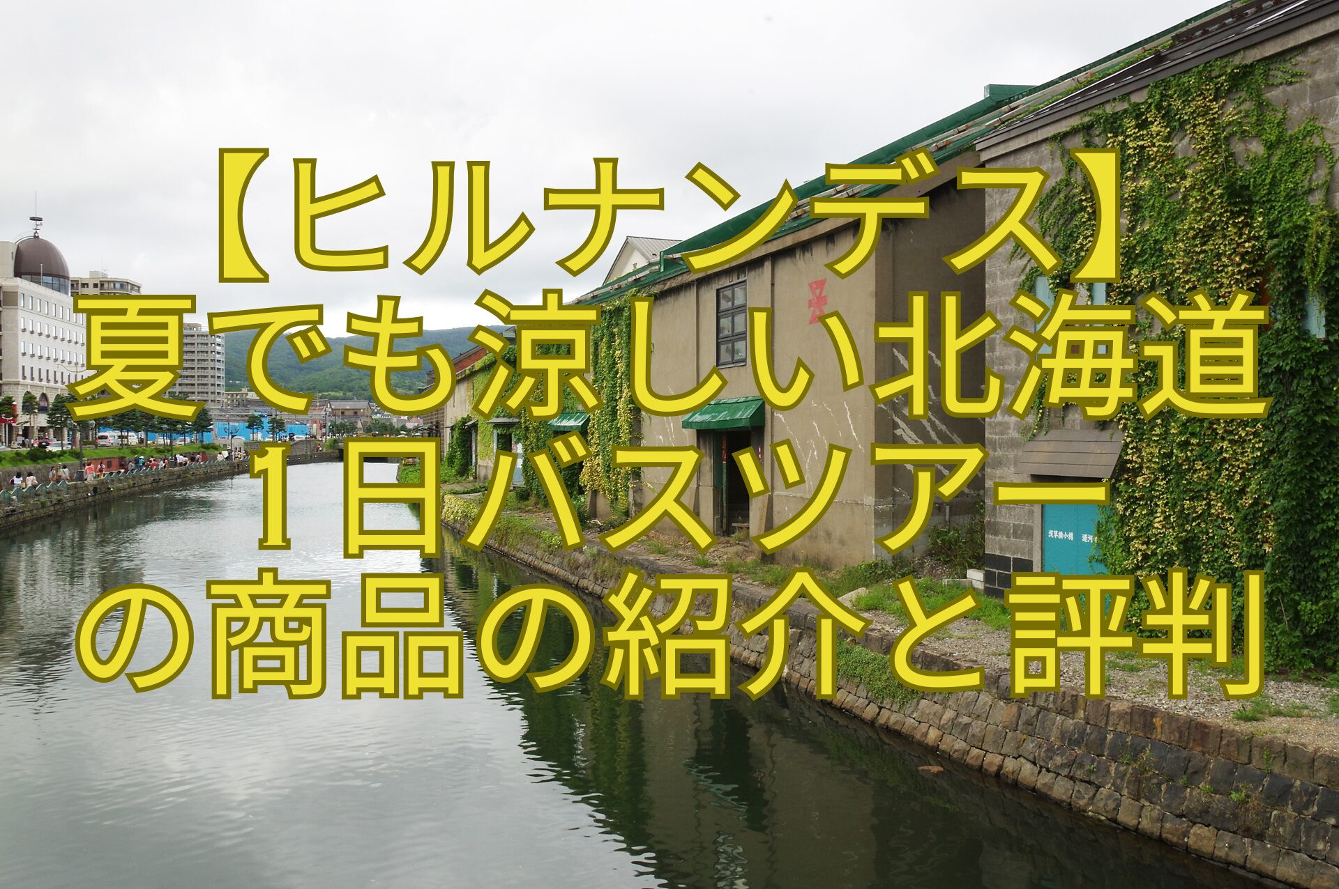 【ヒルナンデス】-夏でも涼しい北海道-1日バスツアー-の商品の紹介と評判