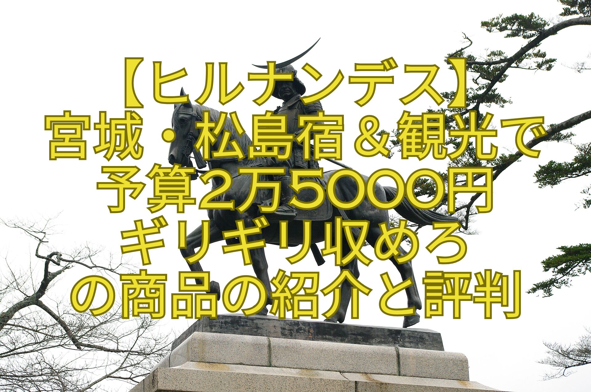 【ヒルナンデス】-宮城・松島宿＆観光で-予算2万5000円-ギリギリ収めろ-の商品の紹介と評判