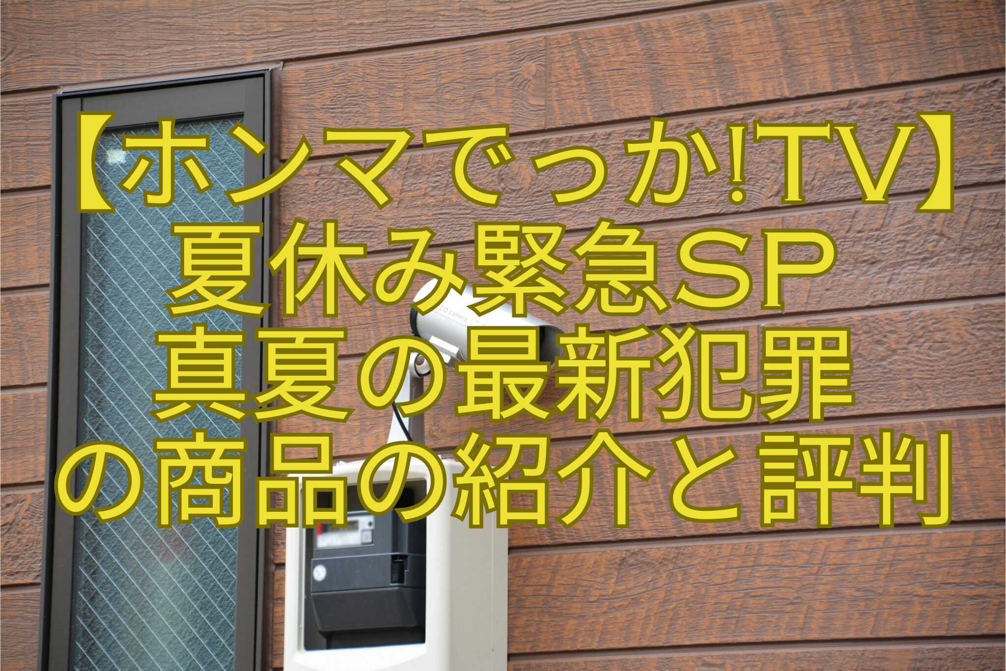 【ホンマでっかTV】-夏休み緊急SP-真夏の最新犯罪-の商品の紹介と評判