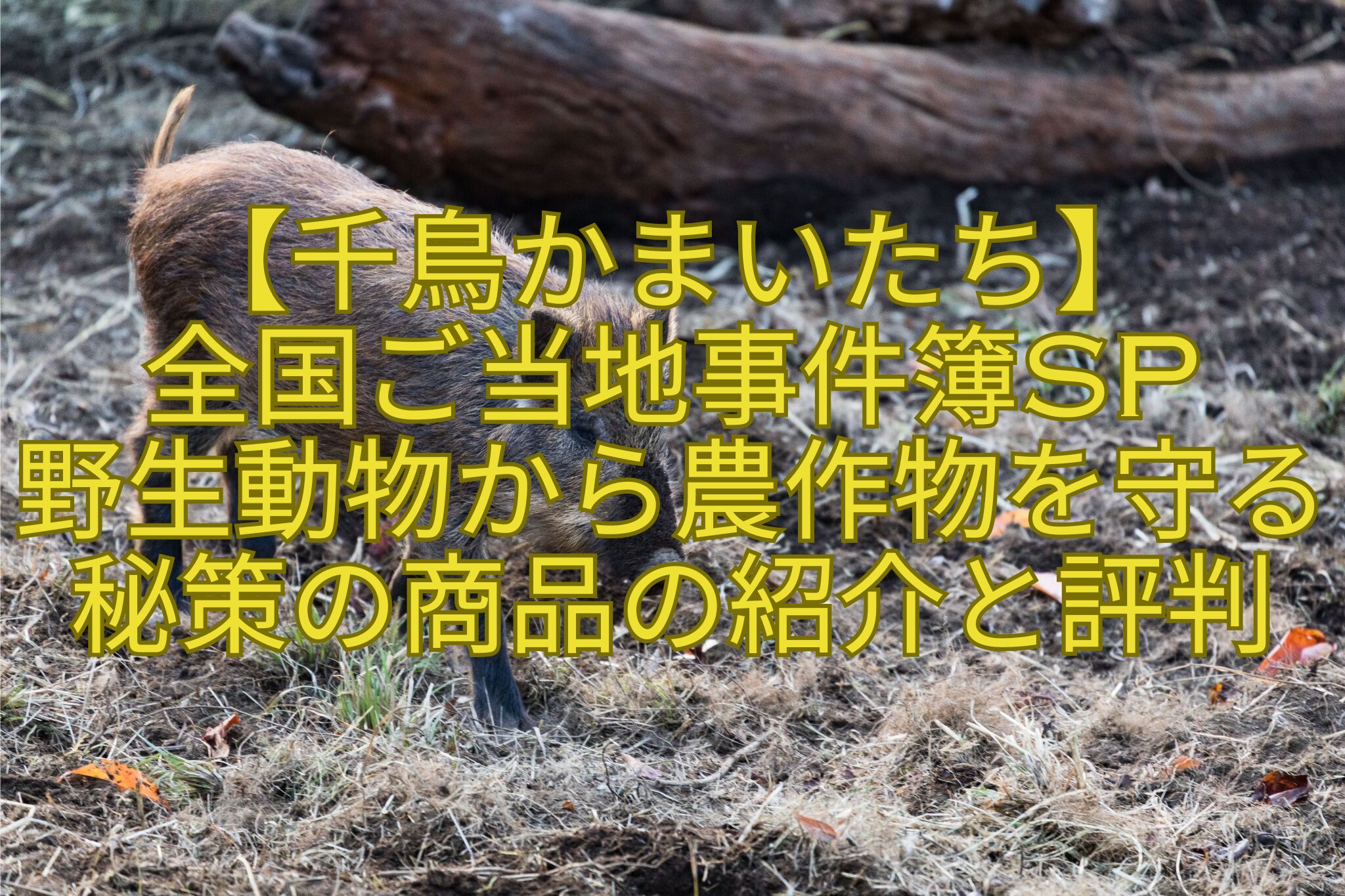 【千鳥かまいたち】-全国ご当地事件簿SP-野生動物から農作物を守る秘策の商品の紹介と評判