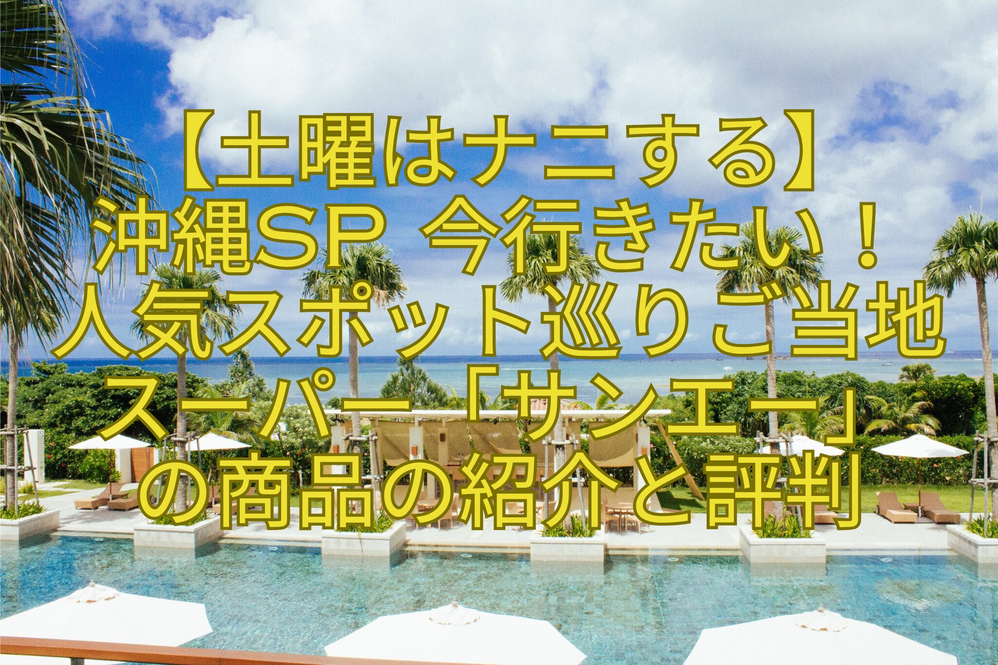【土曜はナニする】-沖縄SP-今行きたい！-人気スポット巡りご当地スーパー「サンエー」-の商品の紹介と評判.