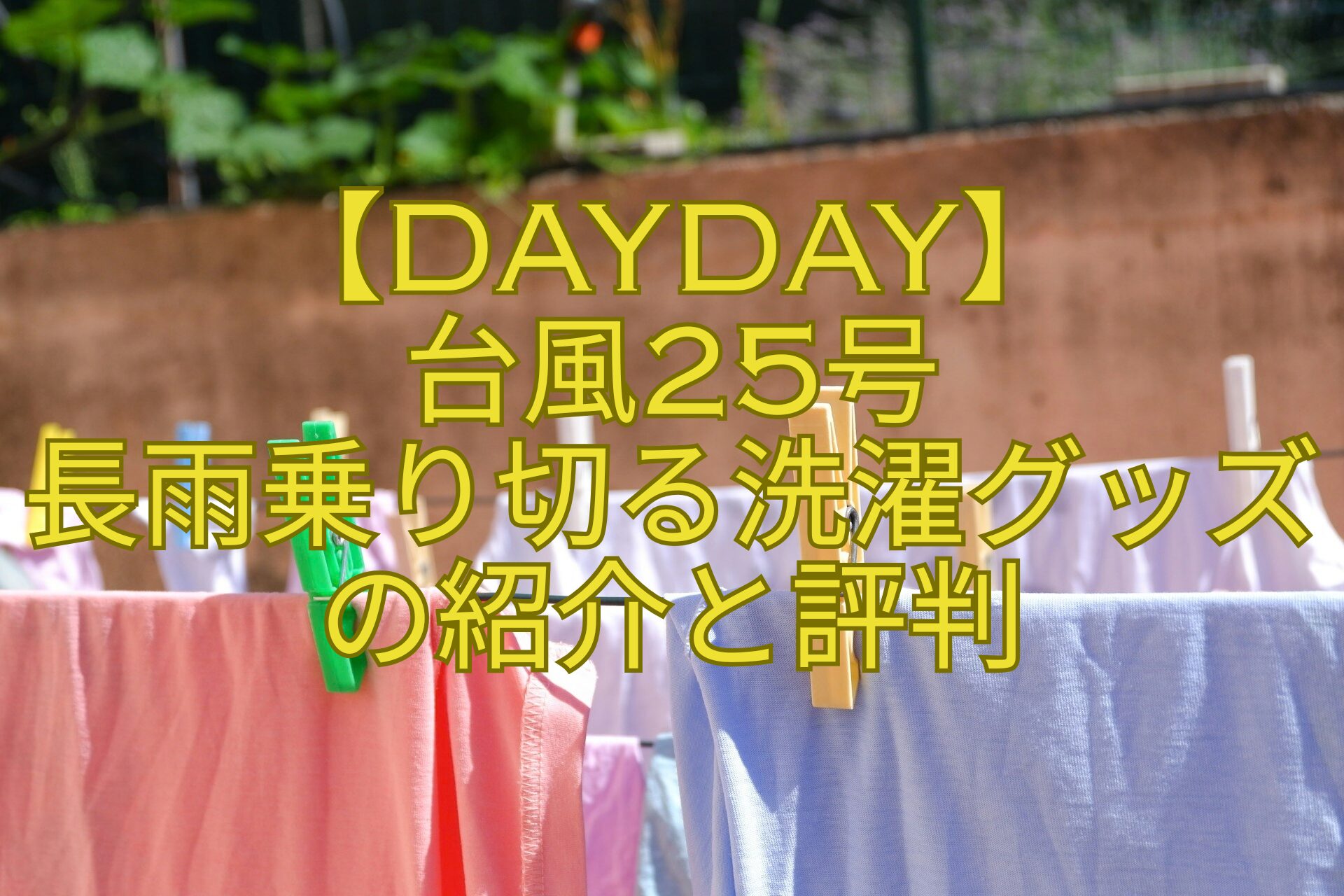 【DayDay】-台風25号-長雨乗り切る洗濯グッズの紹介と評判