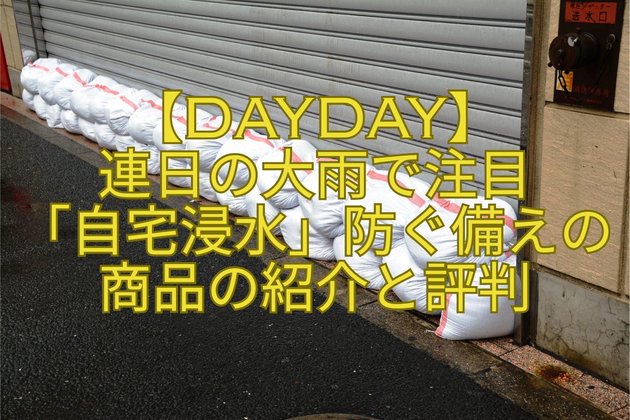 【DayDay】-連日の大雨で注目-「自宅浸水」防ぐ備えの商品の紹介と評判