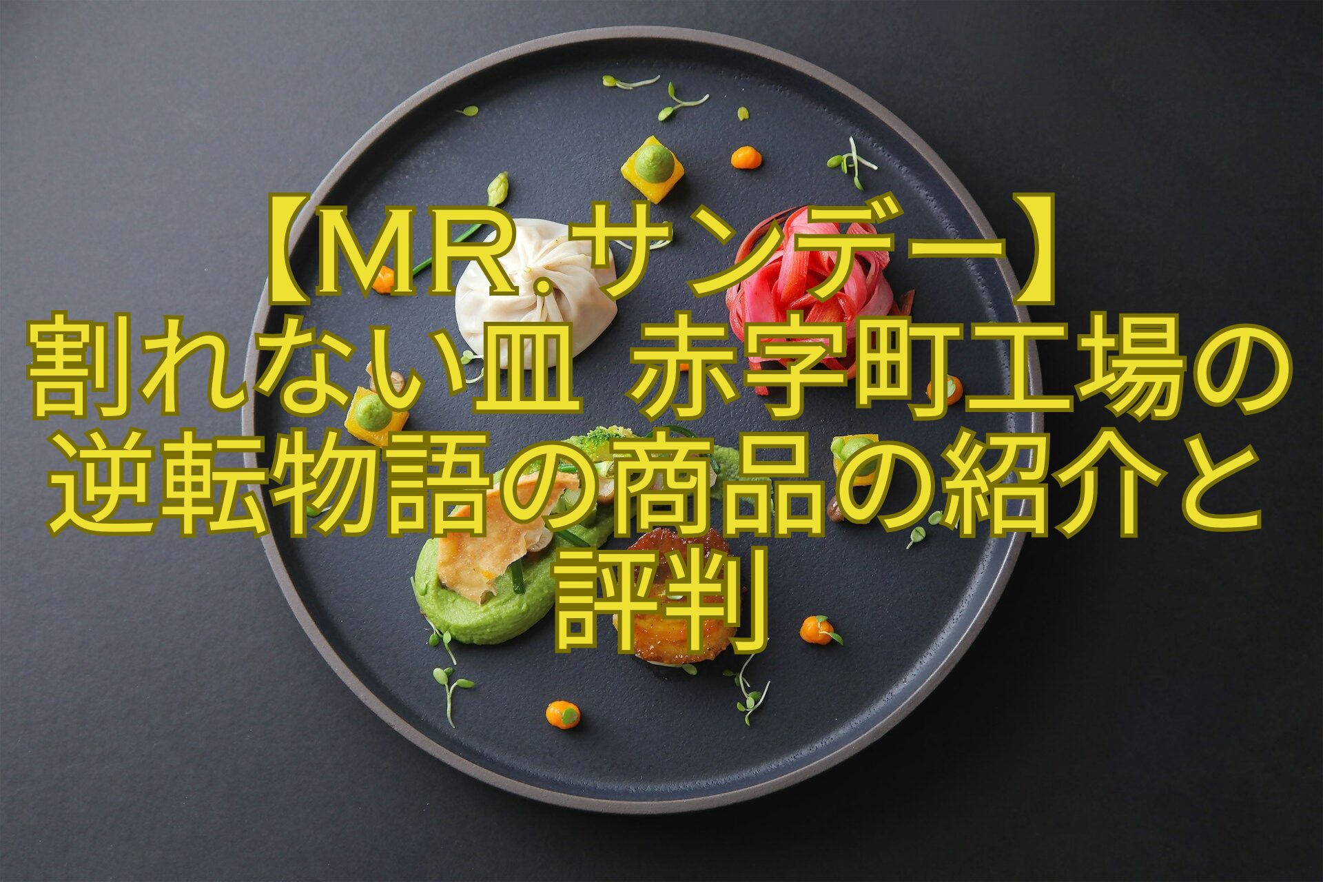 【Mr.サンデー】-割れない皿-赤字町工場の逆転物語の商品の紹介と評判