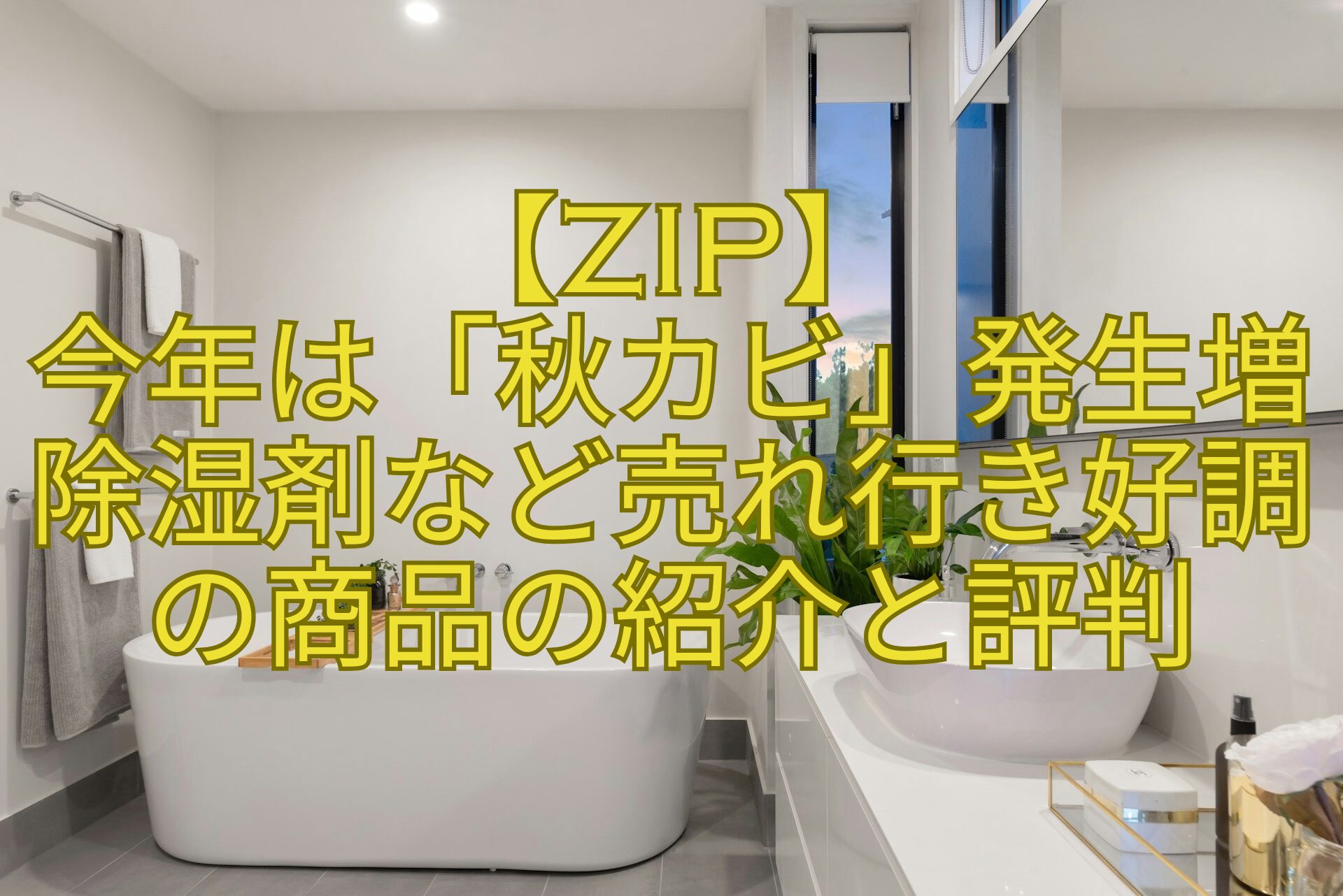 【ZIP】-今年は「秋カビ」発生増除湿剤など売れ行き好調の商品の紹介と評判