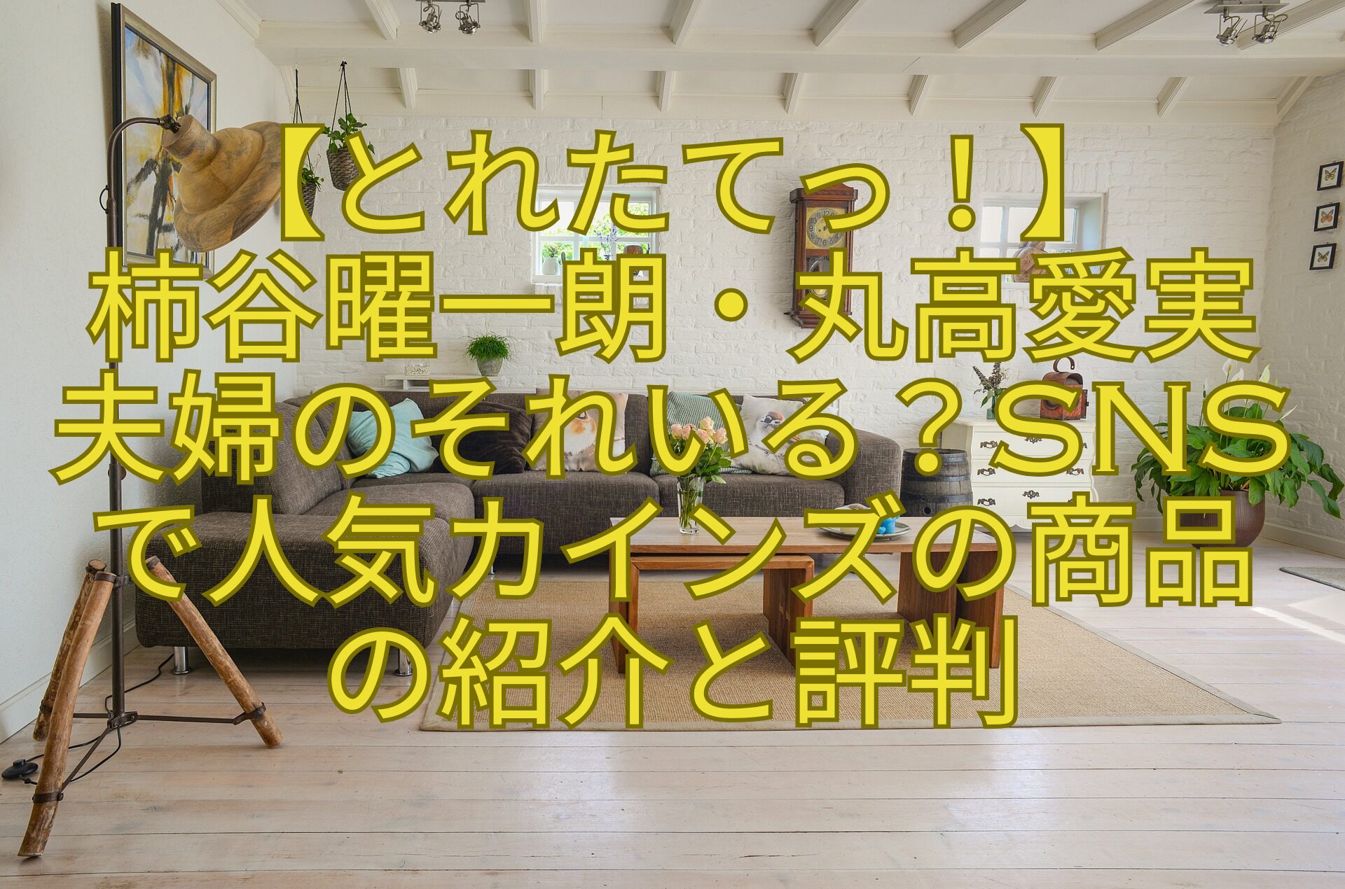 【とれたてっ！】-柿谷曜一朗・丸高愛実-夫婦のそれいる？SNSで人気カインズの商品-の紹介と評判