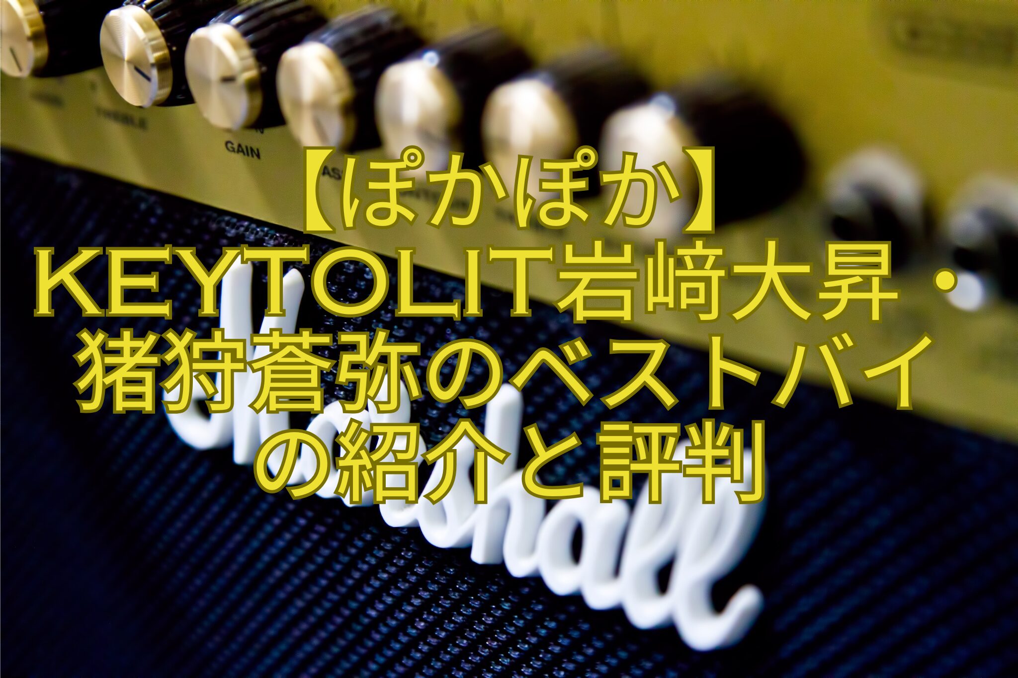 【ぽかぽか】KEYTOLIT岩﨑大昇・猪狩蒼弥のベストバイ-の紹介と評判