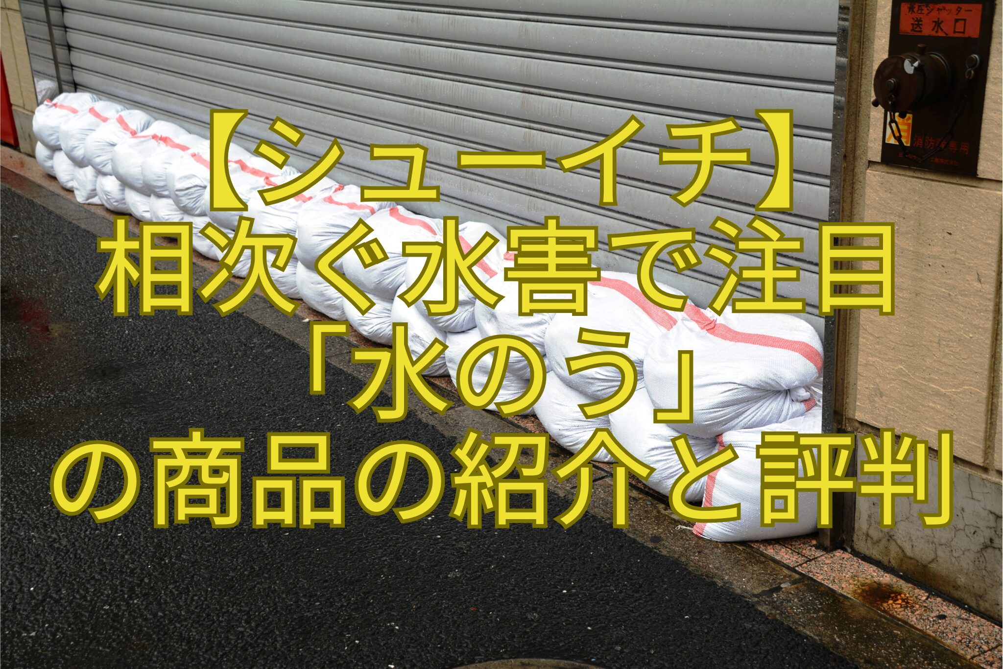 【シューイチ】-相次ぐ水害で注目-「水のう」-の商品の紹介と評判
