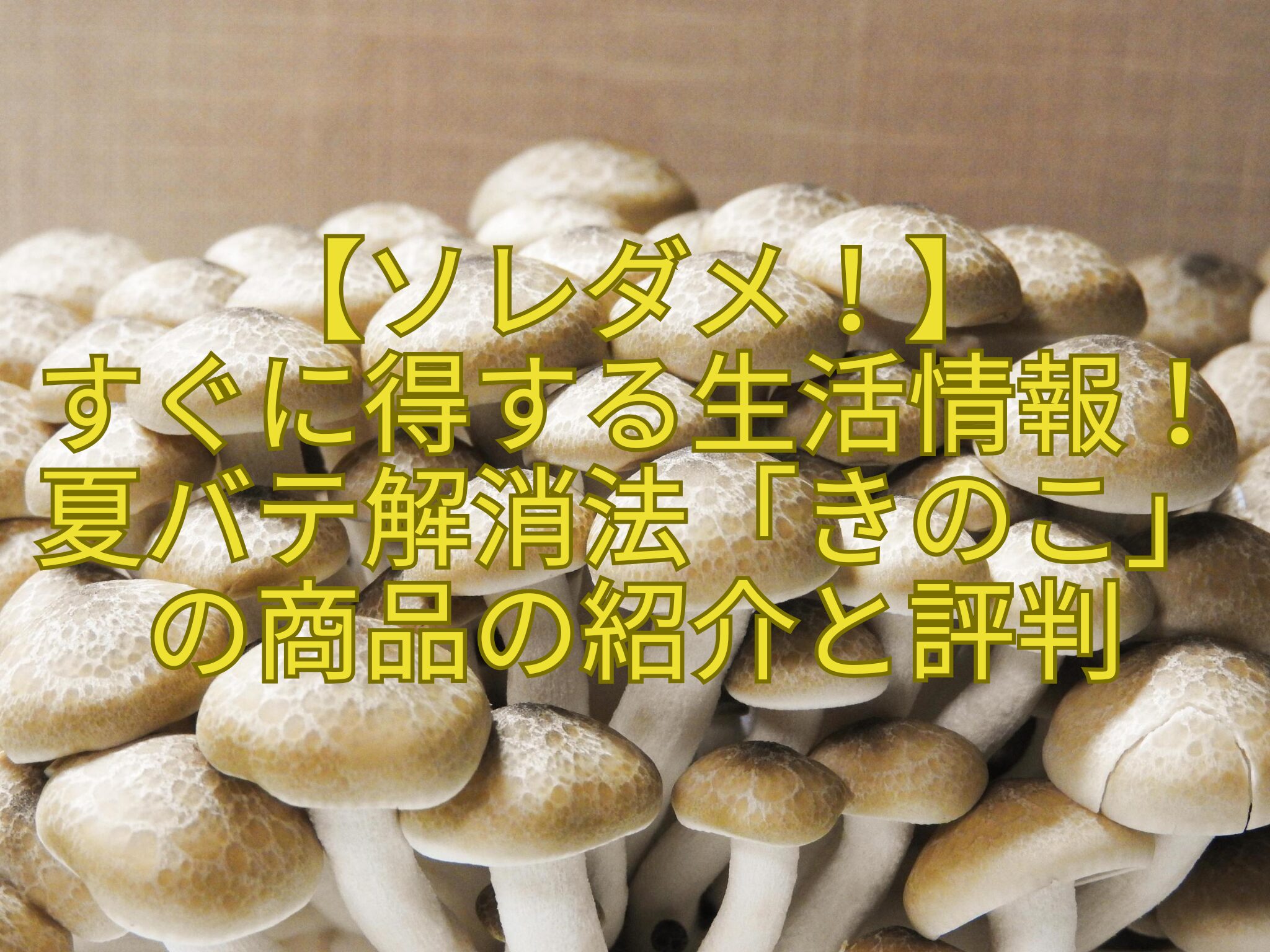 【ソレダメ！】すぐに得する生活情報！夏バテ解消法「きのこ」の商品の紹介と評判