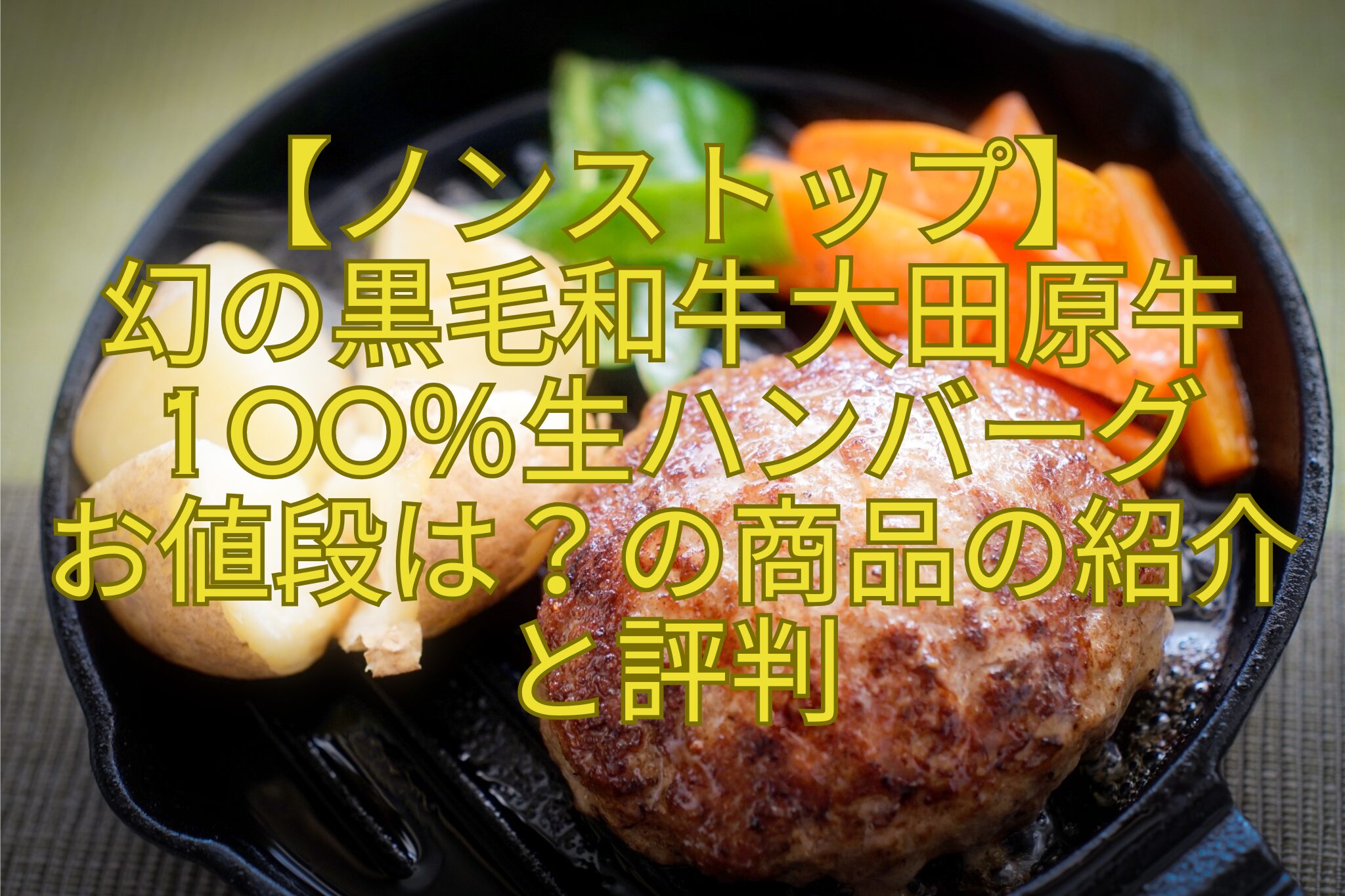 【ノンストップ】-幻の黒毛和牛大田原牛100％生ハンバーグ-お値段は？の商品の紹介-と評判
