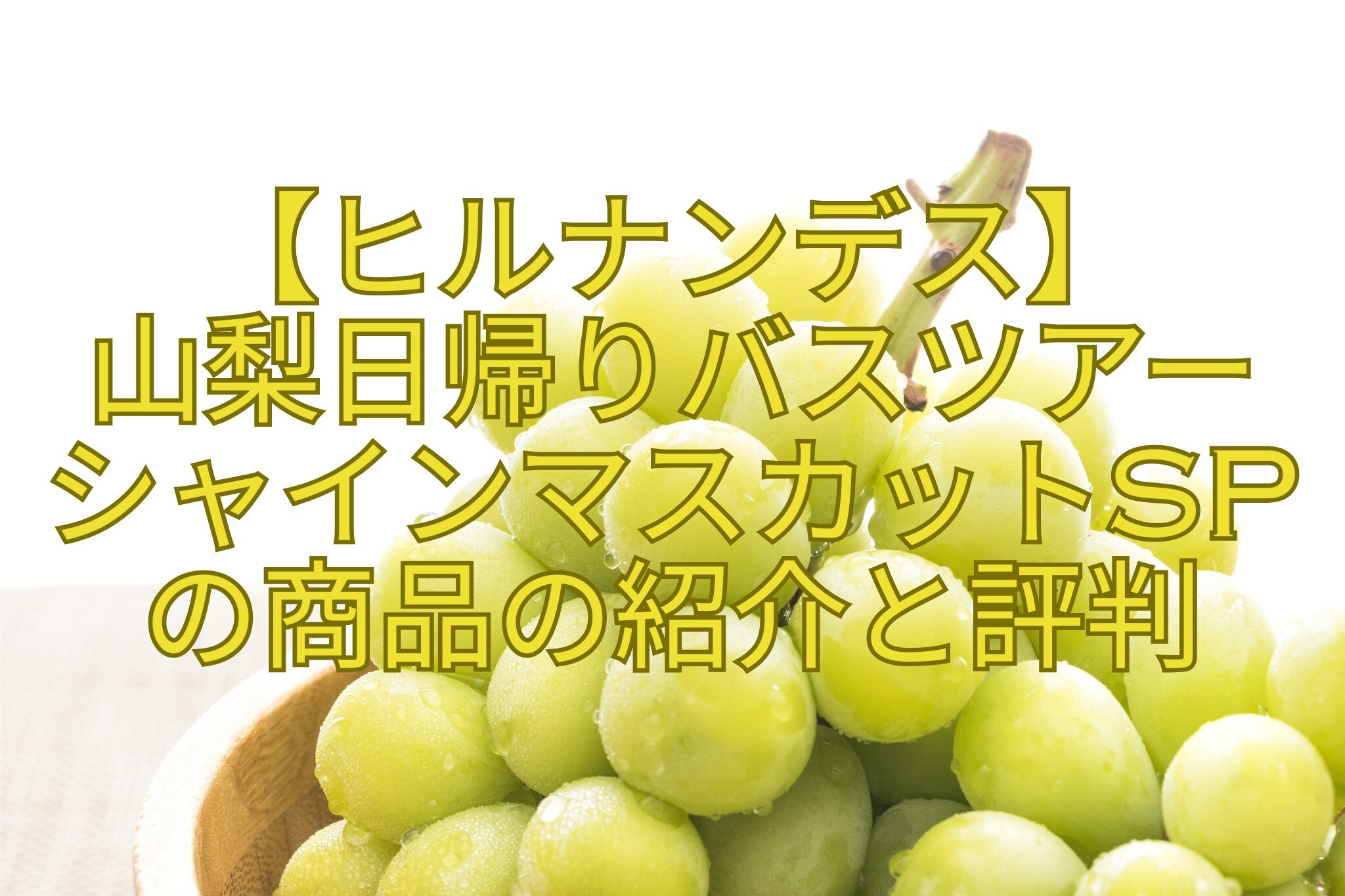 【ヒルナンデス】-山梨日帰りバスツアー-シャインマスカットSPの商品の紹介と評判