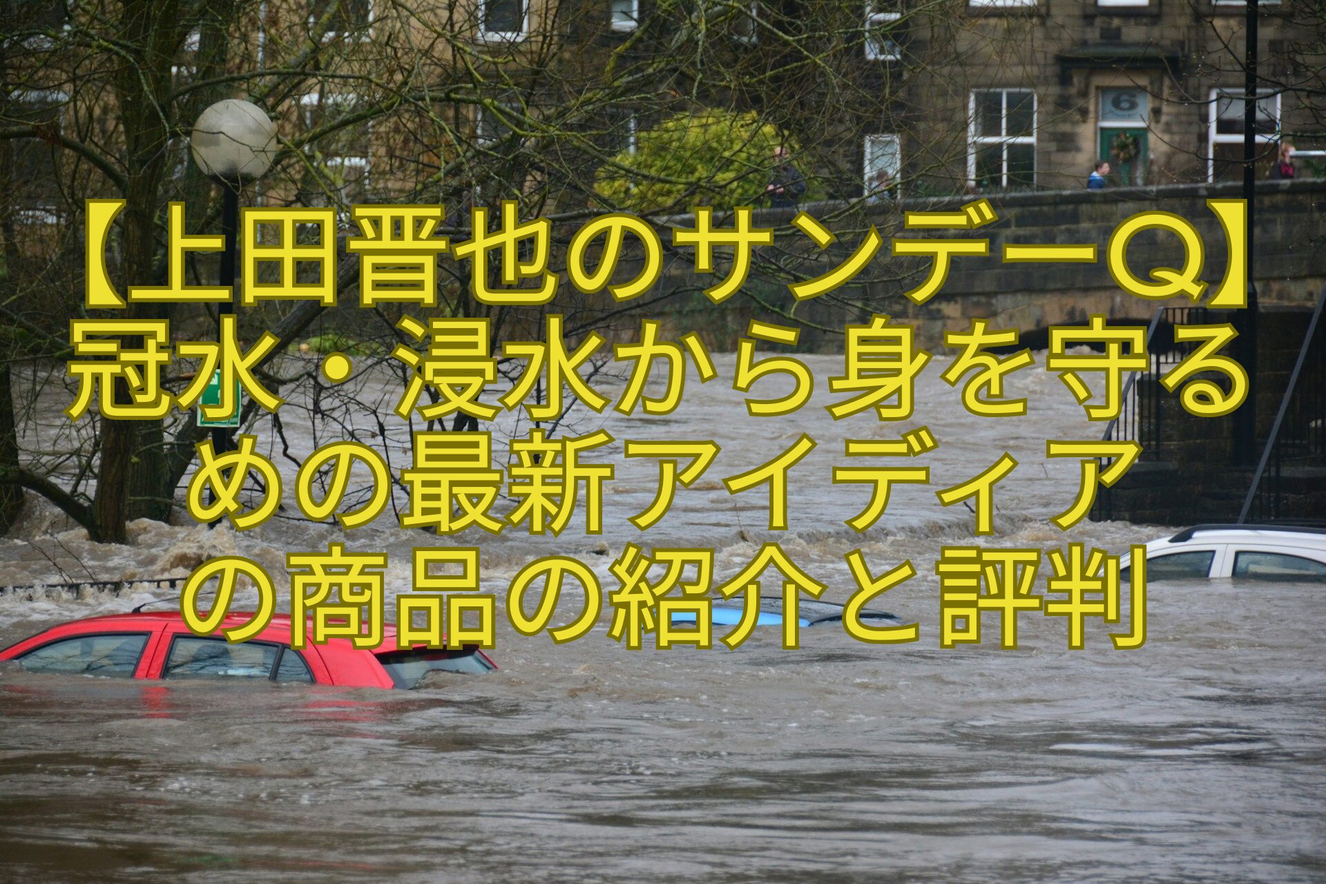 【上田晋也のサンデーQ】冠水・浸水から身を守るめの最新アイディア-の商品の紹介と評判