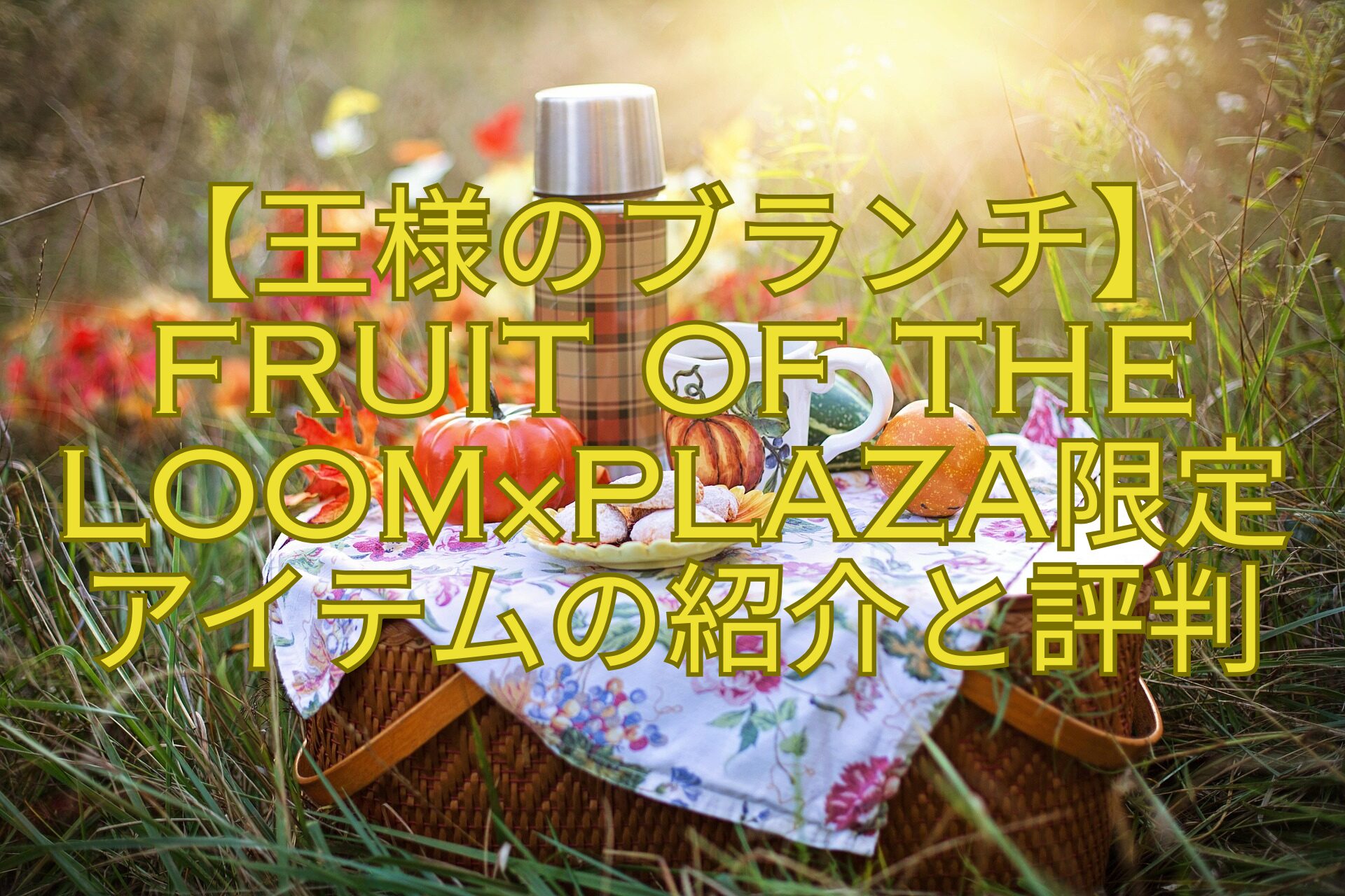 【王様のブランチ】FRUIT-OF-THE-LOOM×PLAZA限定-アイテムの紹介と評判