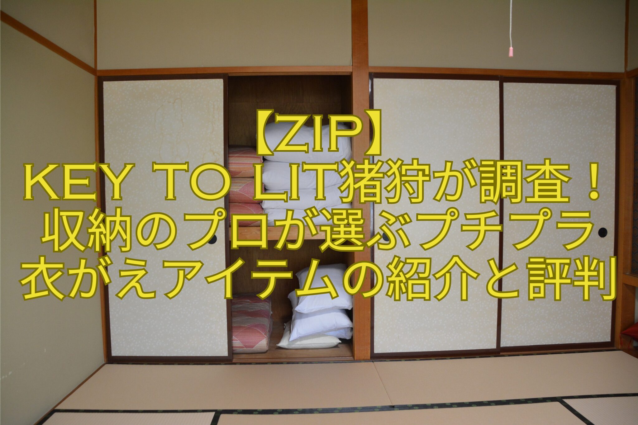 【ZIP】-KEY-TO-LIT猪狩が調査！収納のプロが選ぶプチプラ-衣がえアイテムの紹介と評判